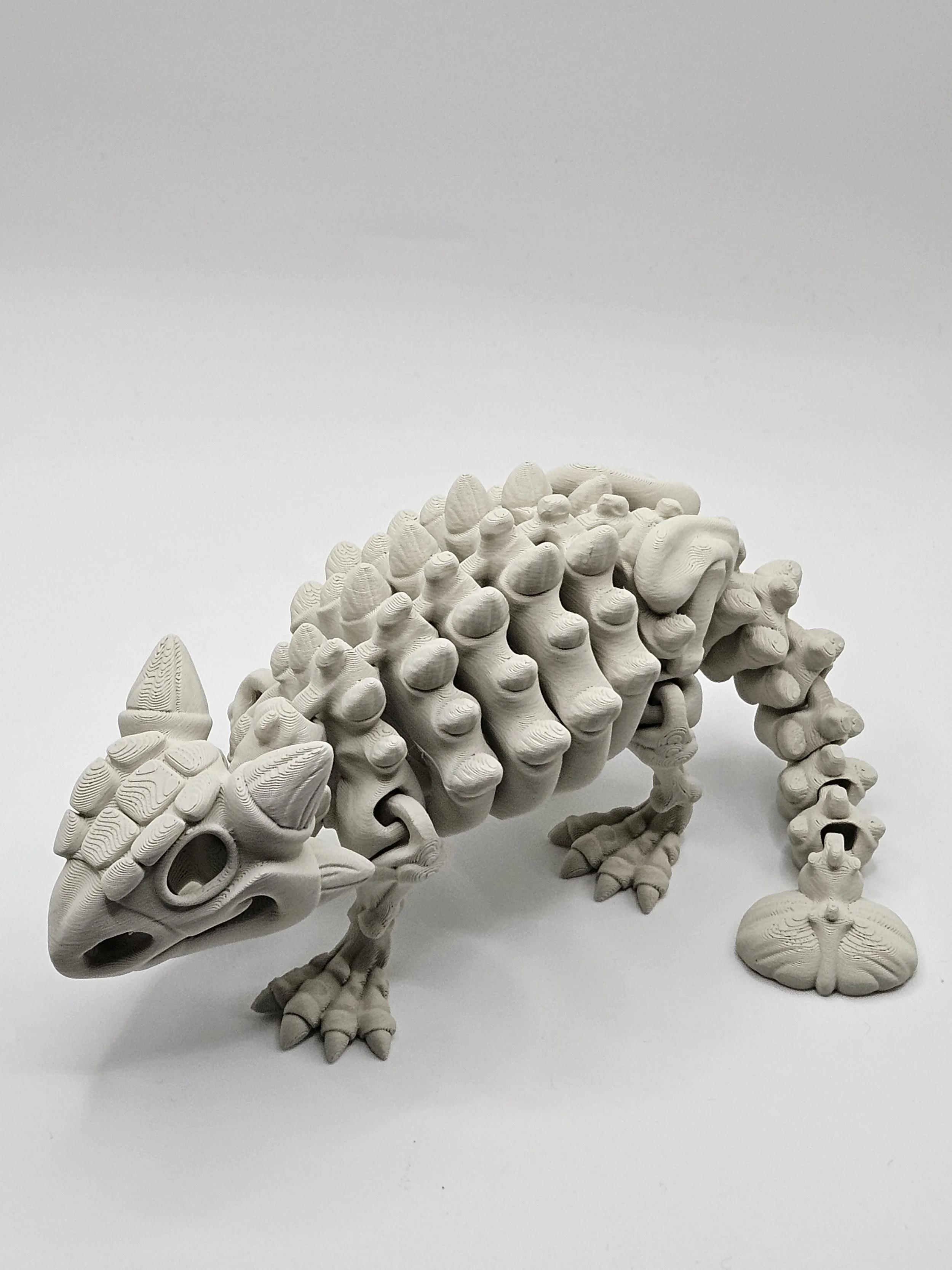 Ankylosaurus Dinosaur Skeleton Model