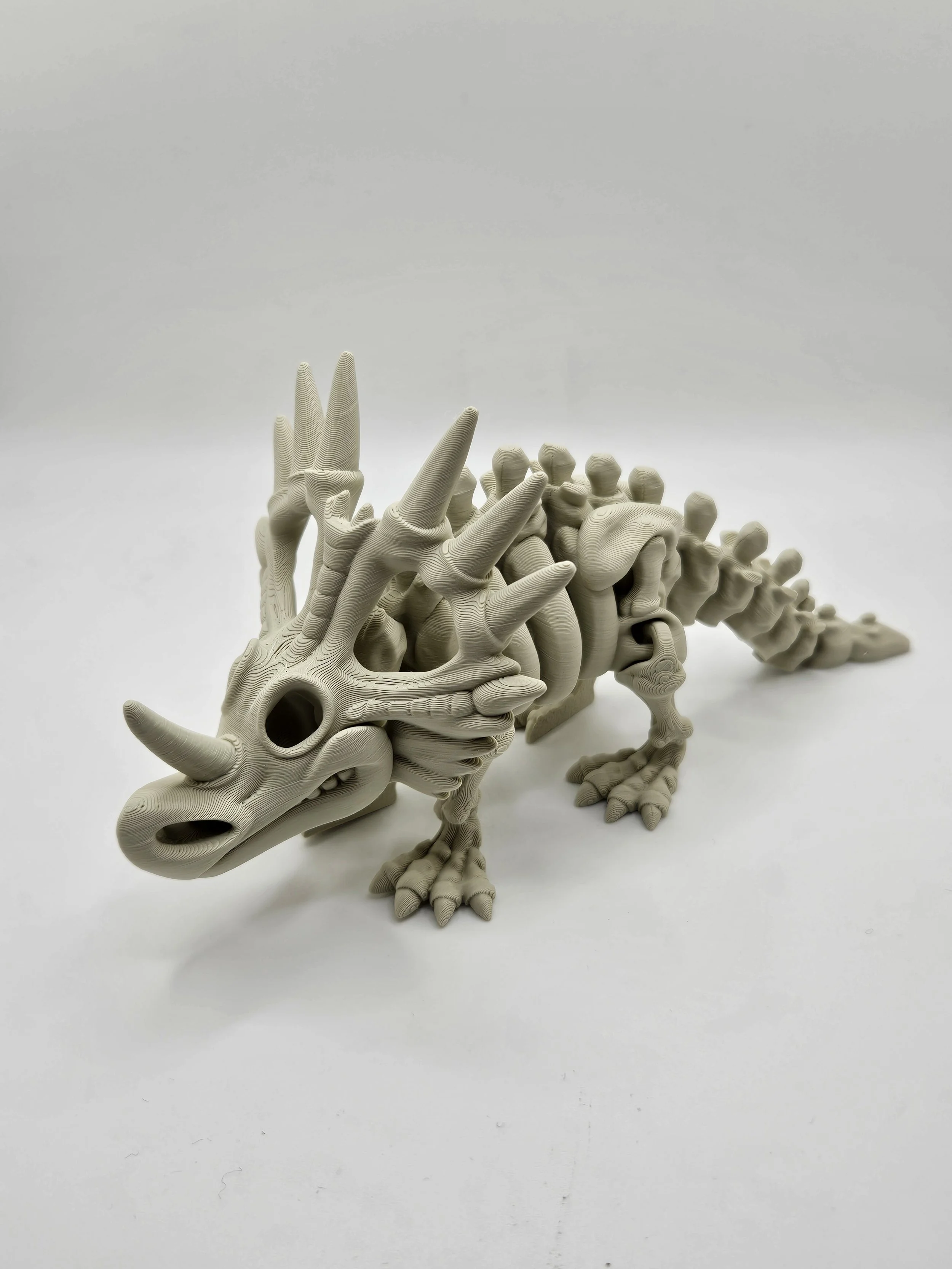 Styracosaurus Dinosaur Skeleton Model