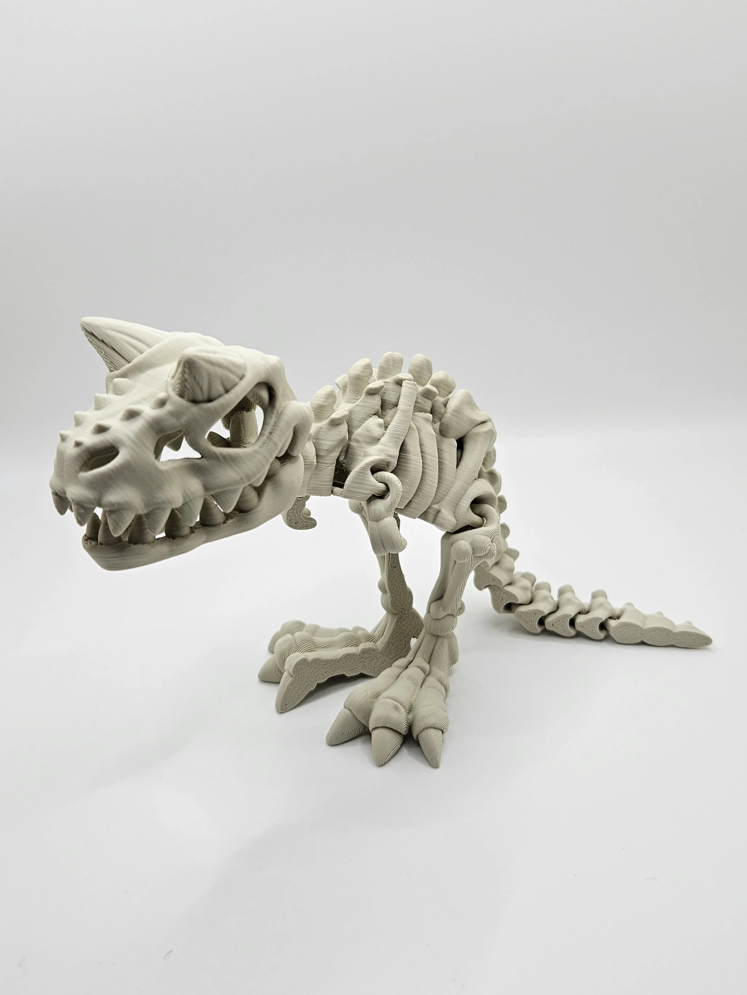 Carnotaurus Skeleton Model