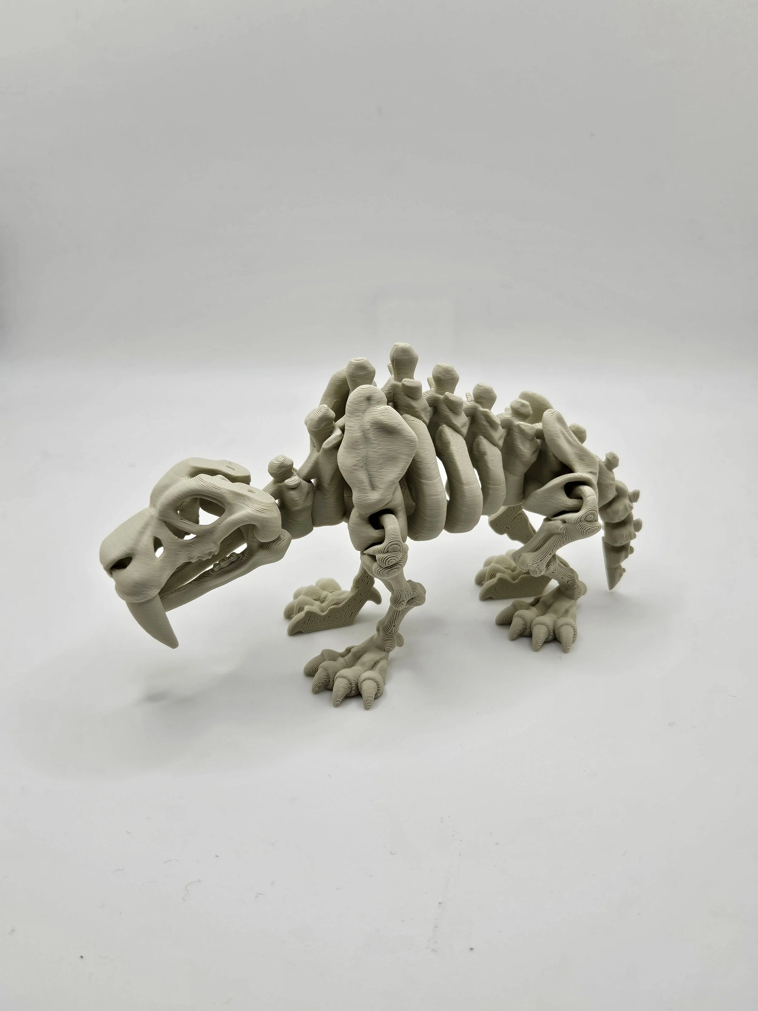 Smilodon Skeleton Model