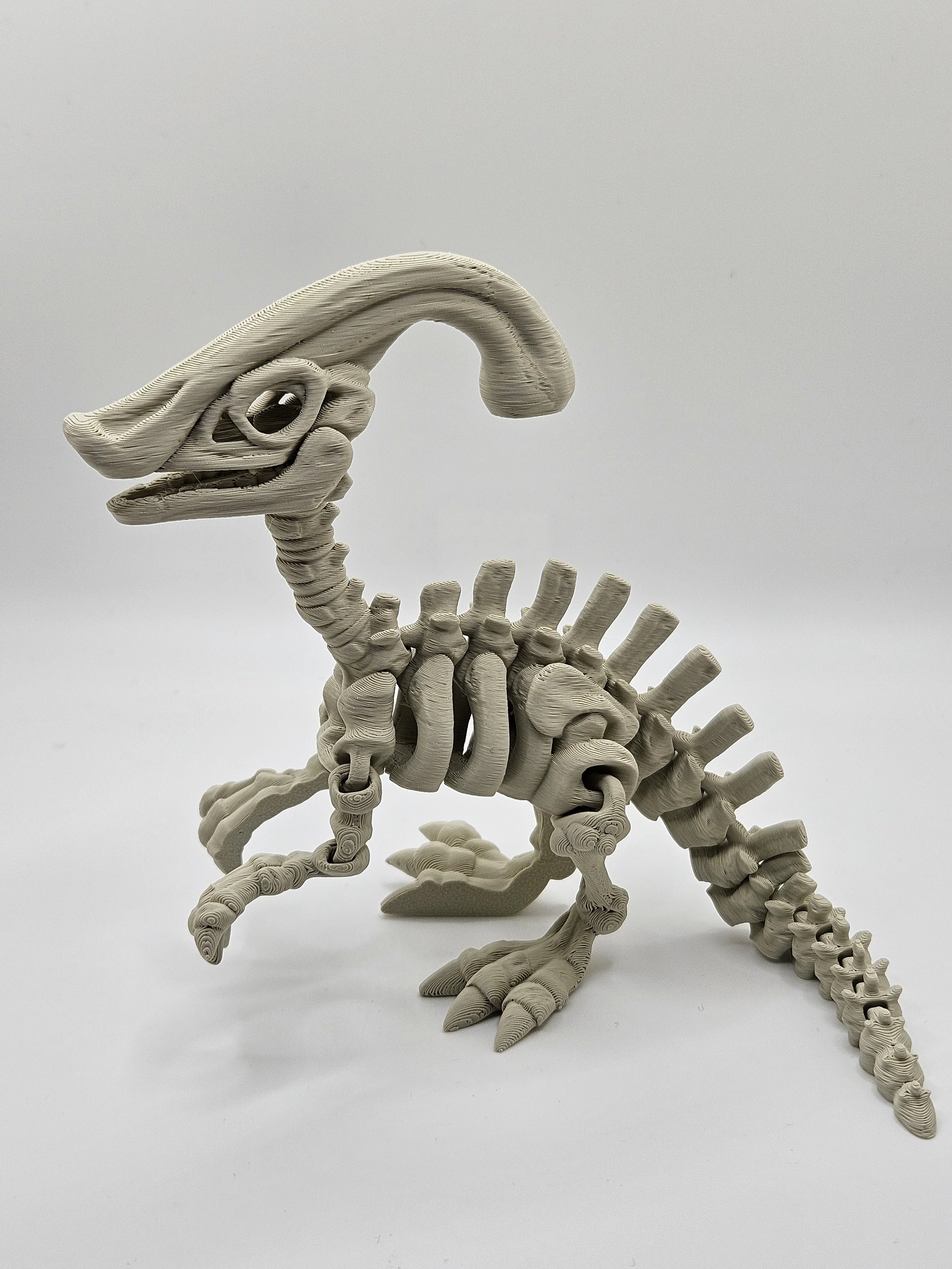 Parasaurolophus Dinosaur Skeleton Model