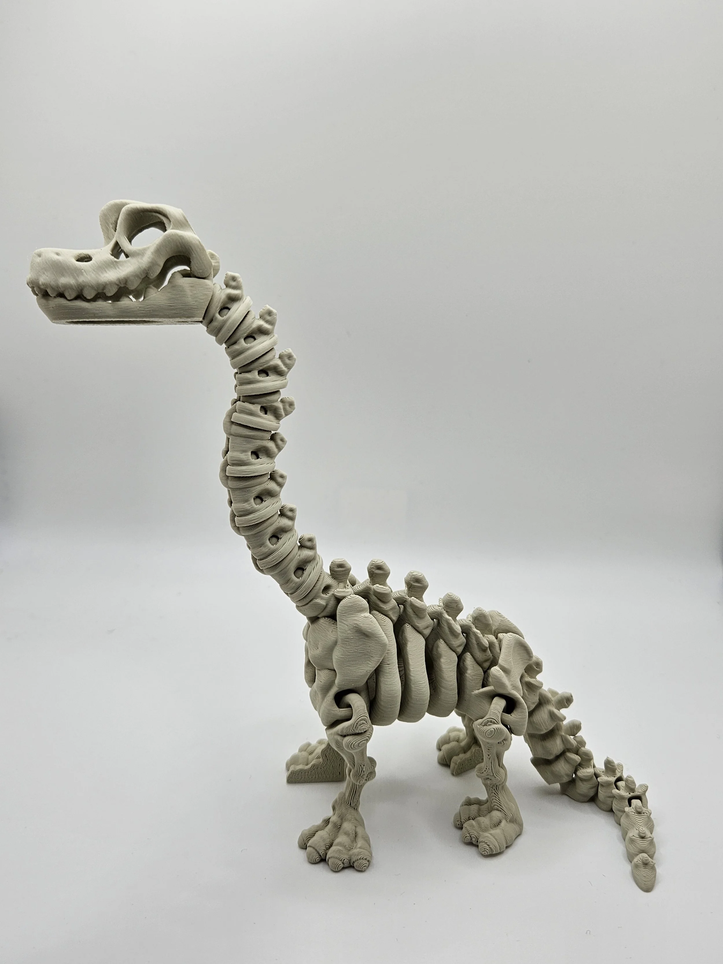Brachiosaurus Dinosaur Skeleton Model