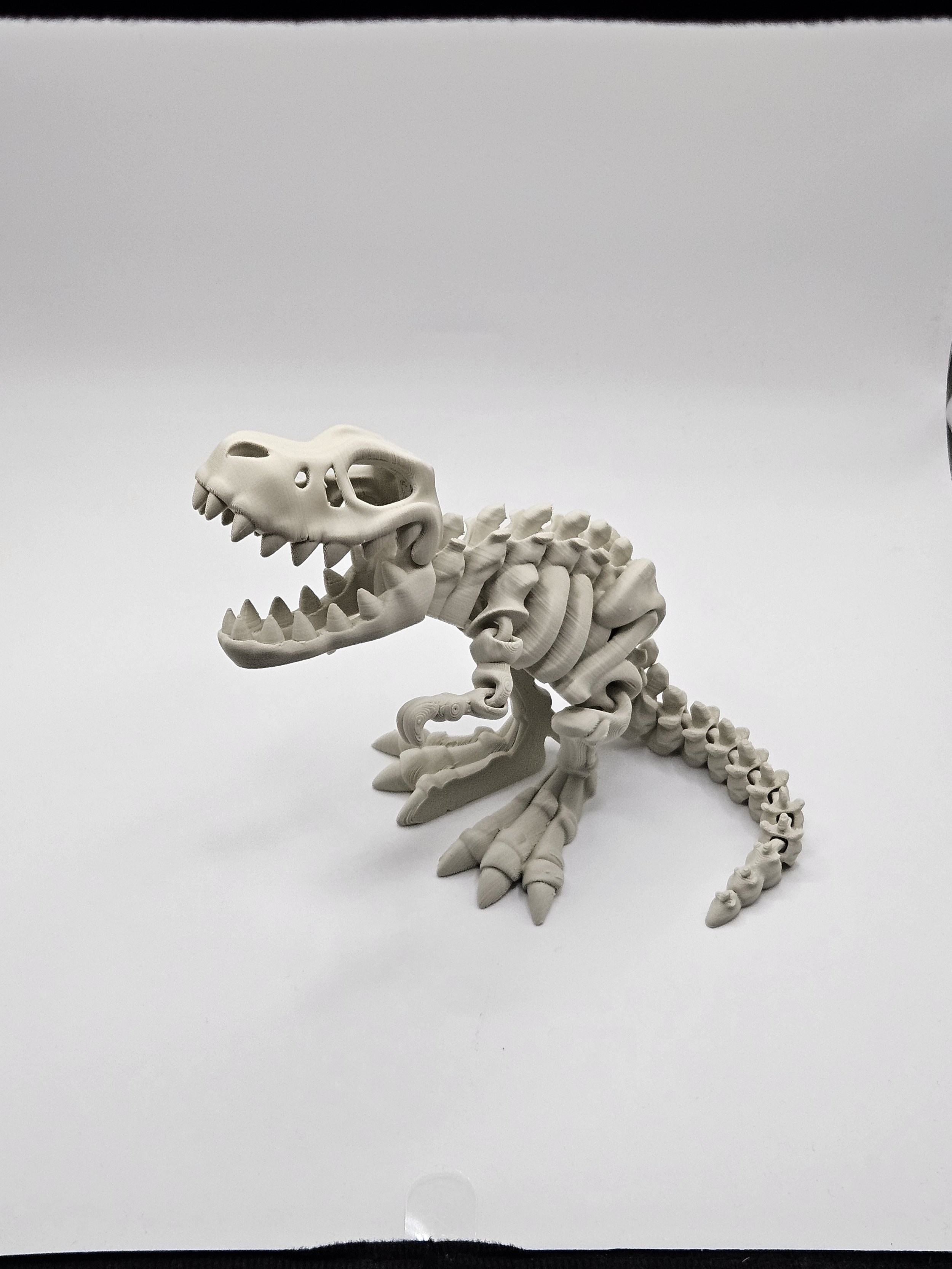 Tyrannosaurus Dinosaur Skeleton Model