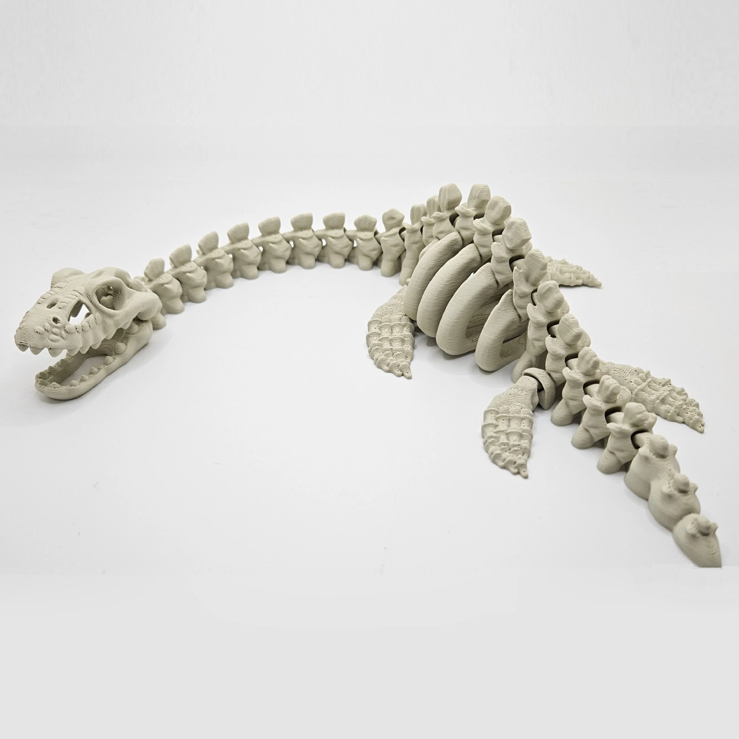 Elasmosaurus3.jpg