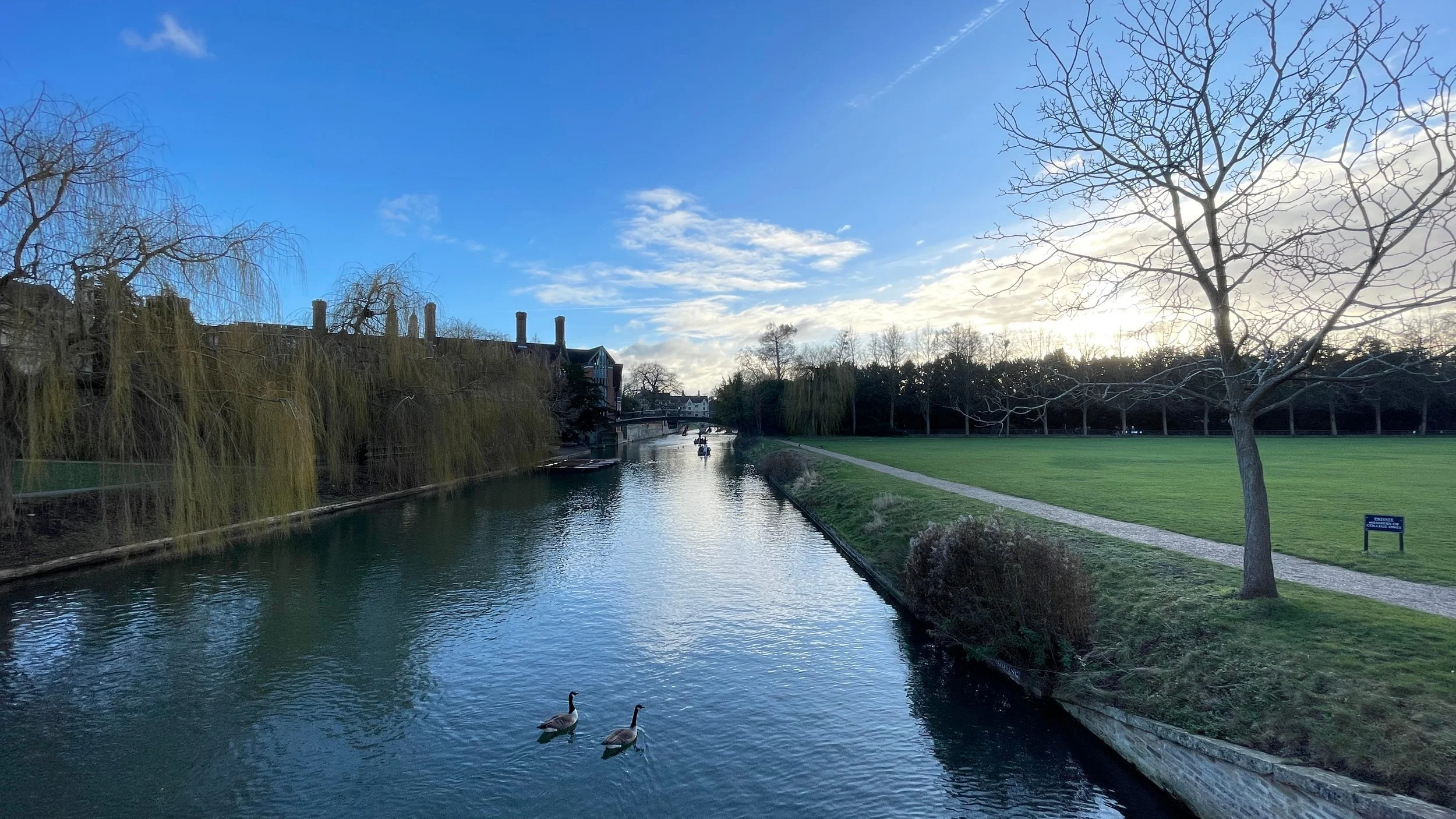 The Backs Just Before Dark, Cambridge