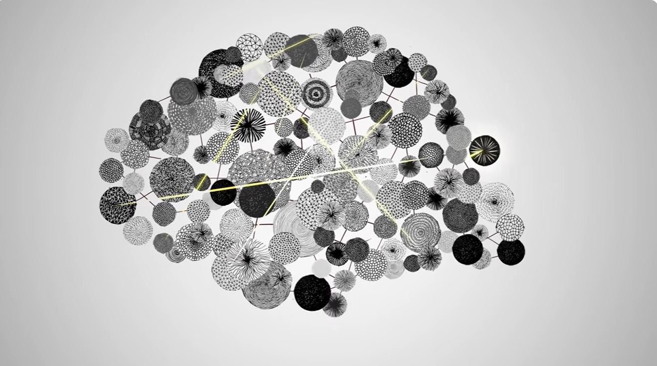 The Teen Brain