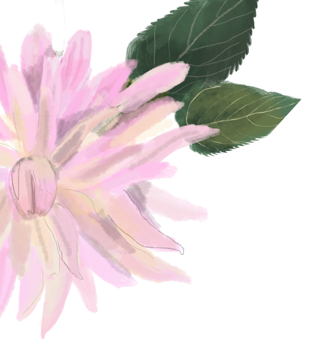 bloemen geboortekaartje persoonlijk geïllustreerd