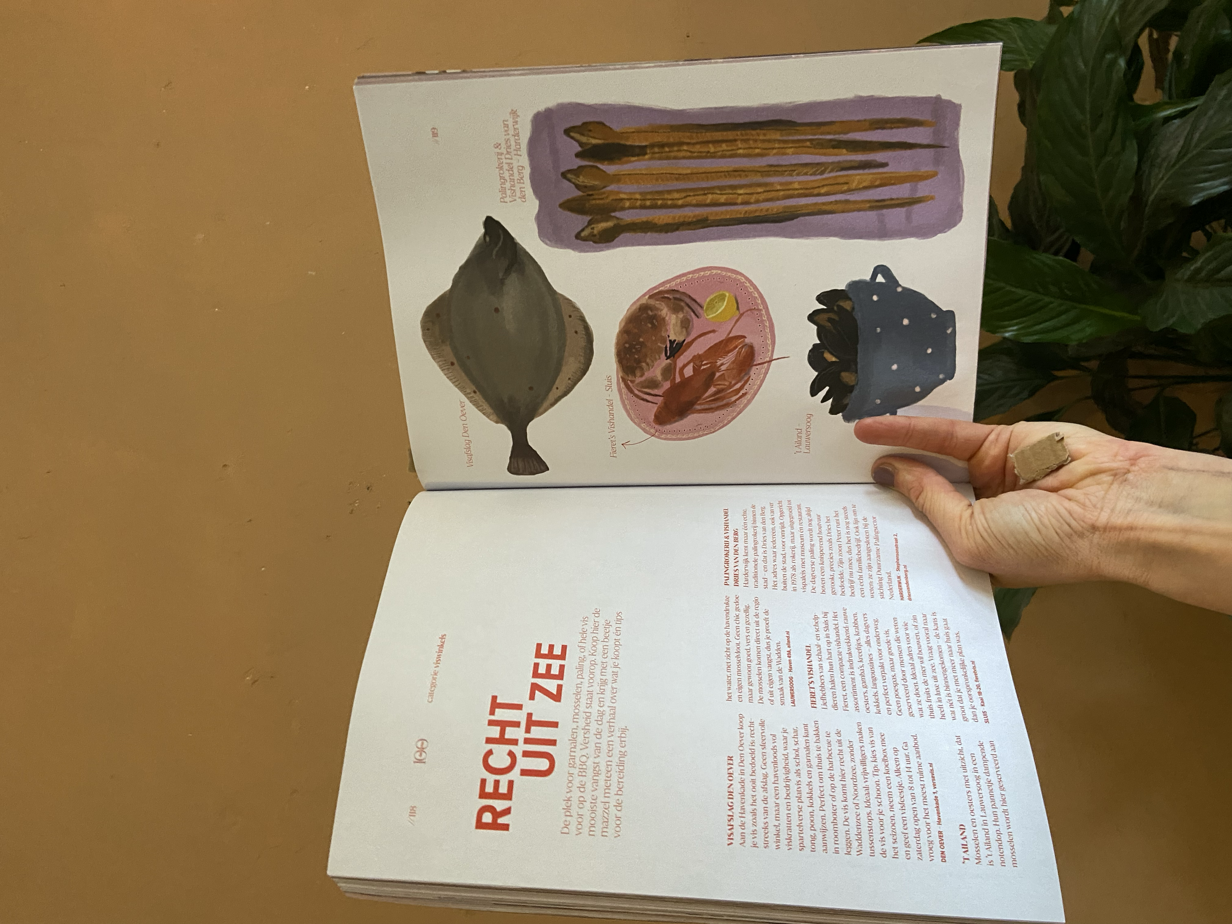 Delicious Magazine, Netherlands 