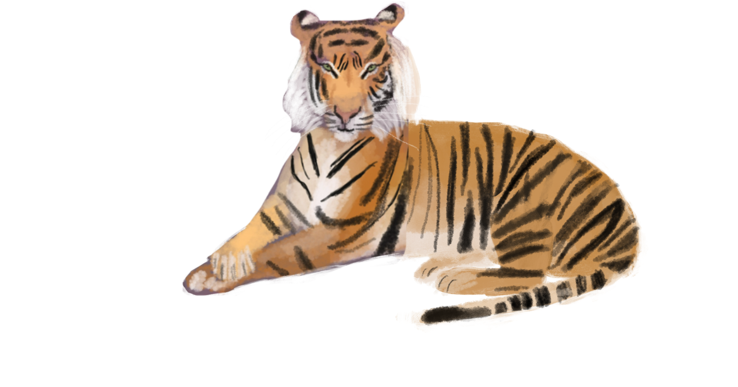Tijger.png