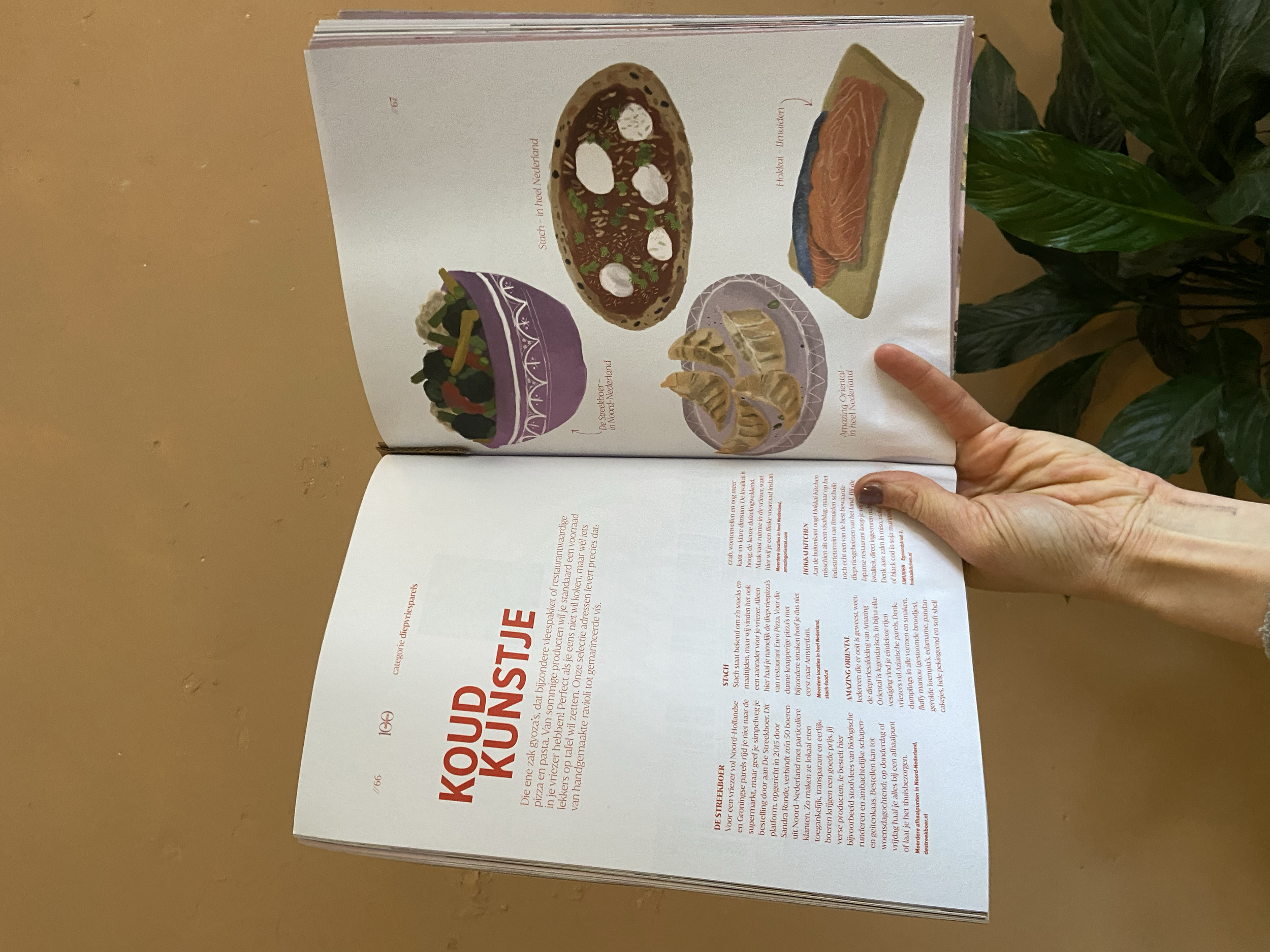 Delicious Magazine, Netherlands 