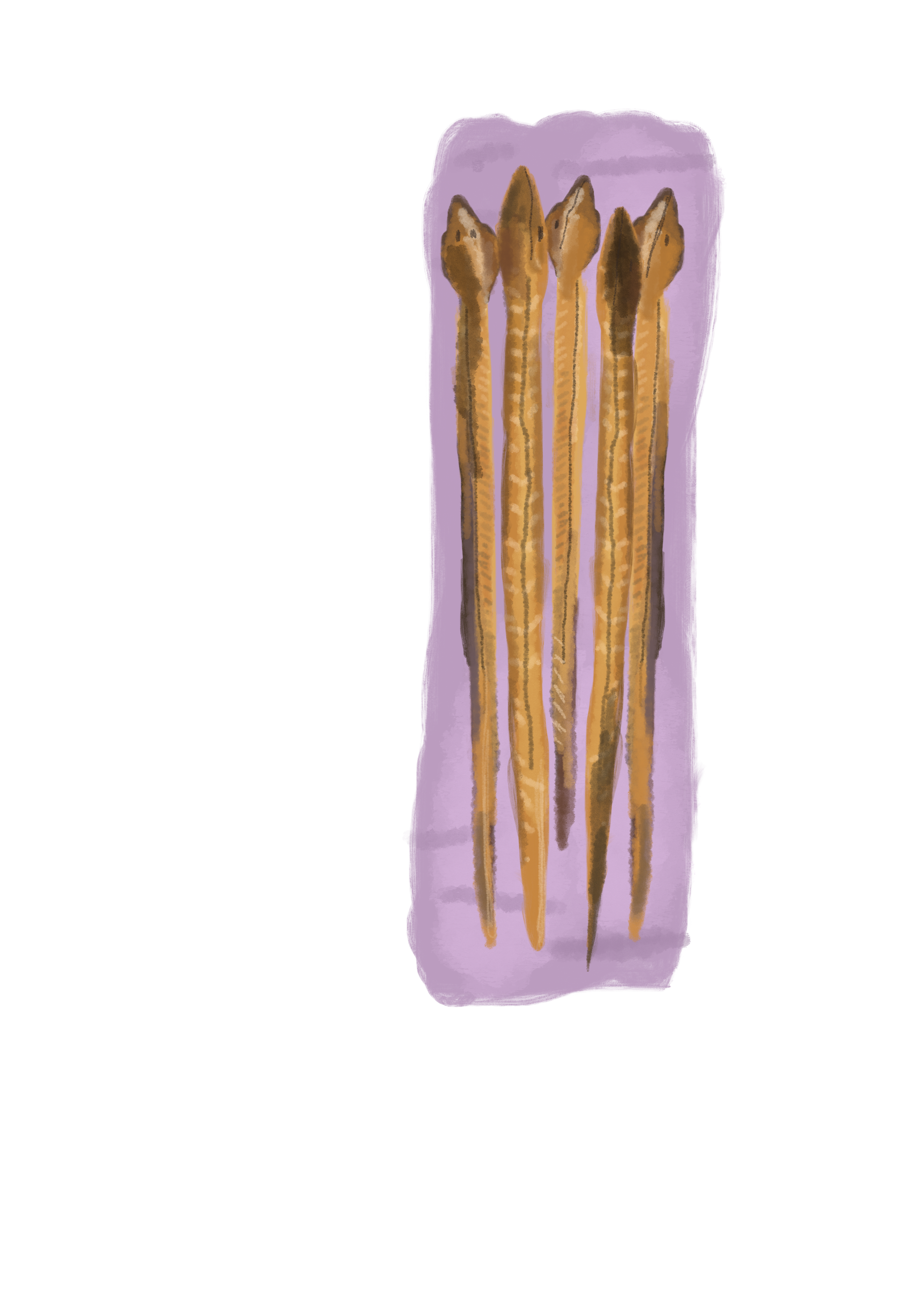 Paling-illustratie-pastel.png