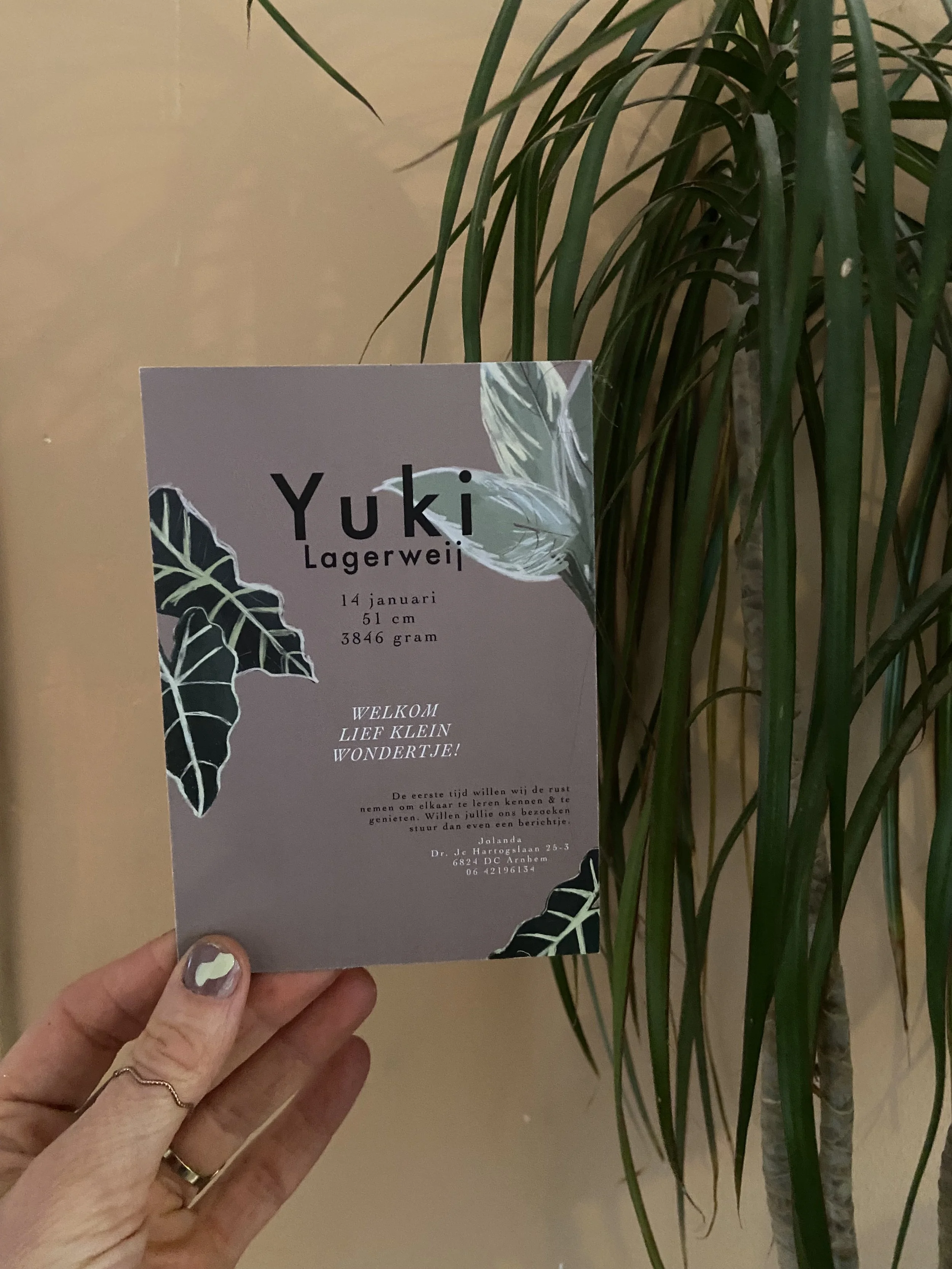 A person holding a wedding announcement card in front of a tall green indoor plant. The card displays the name 'Yuki Lagerwei', birth details, and a welcome message in Dutch.