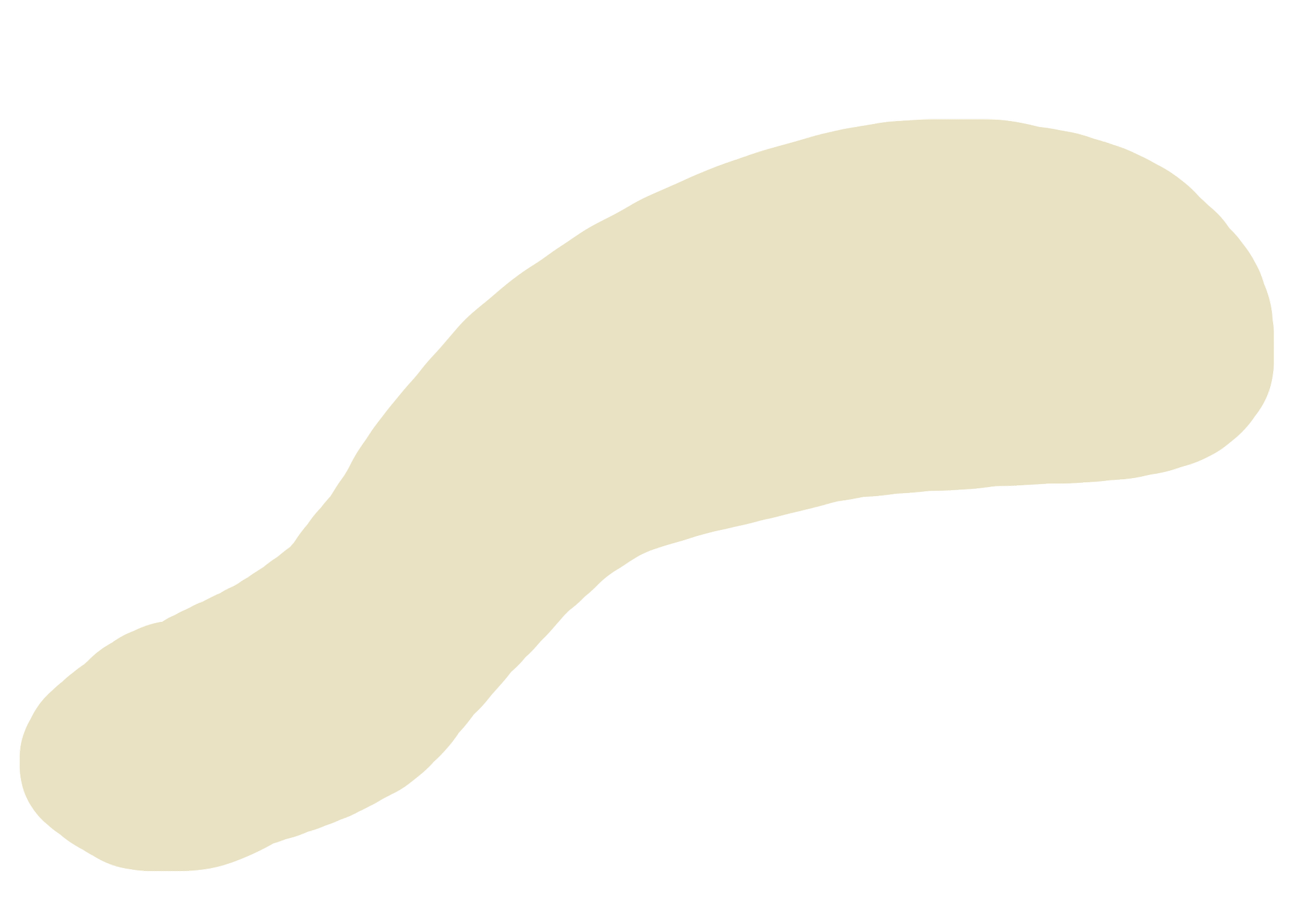 A close-up of a pale-colored, elongated, and curved shape against a black background.