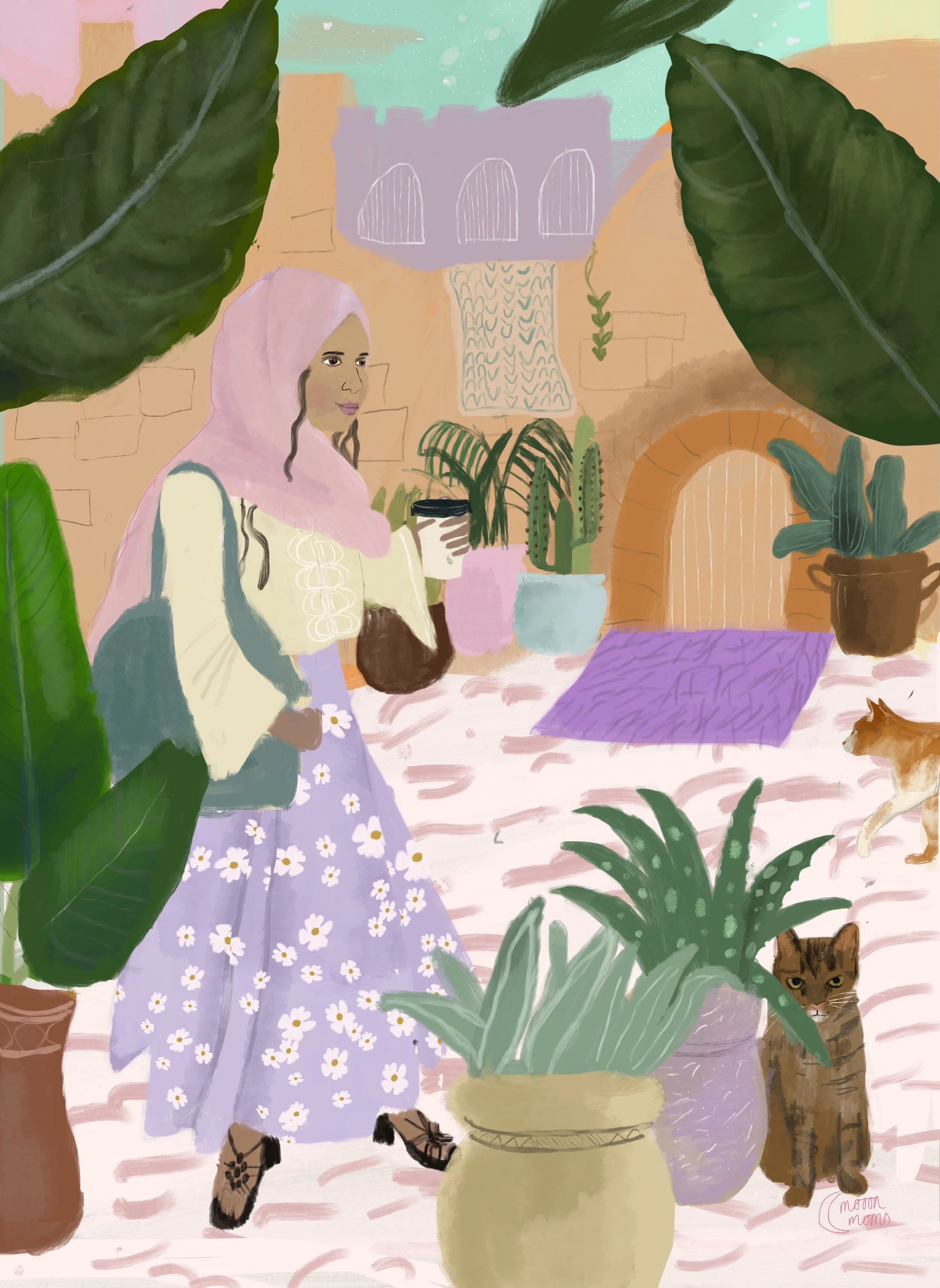 Morocco - medina cats .jpg