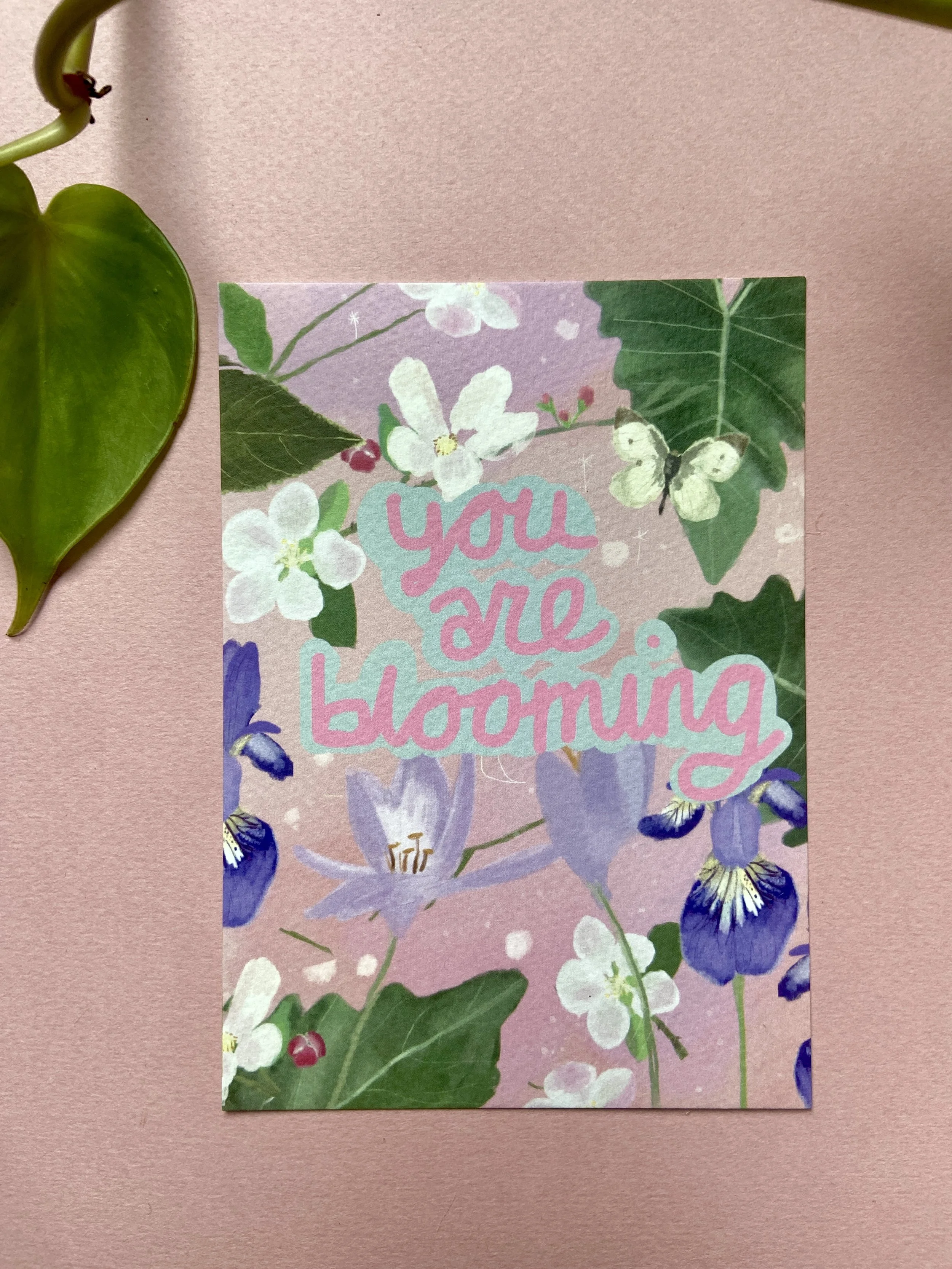 pc01 - product photo.JPG