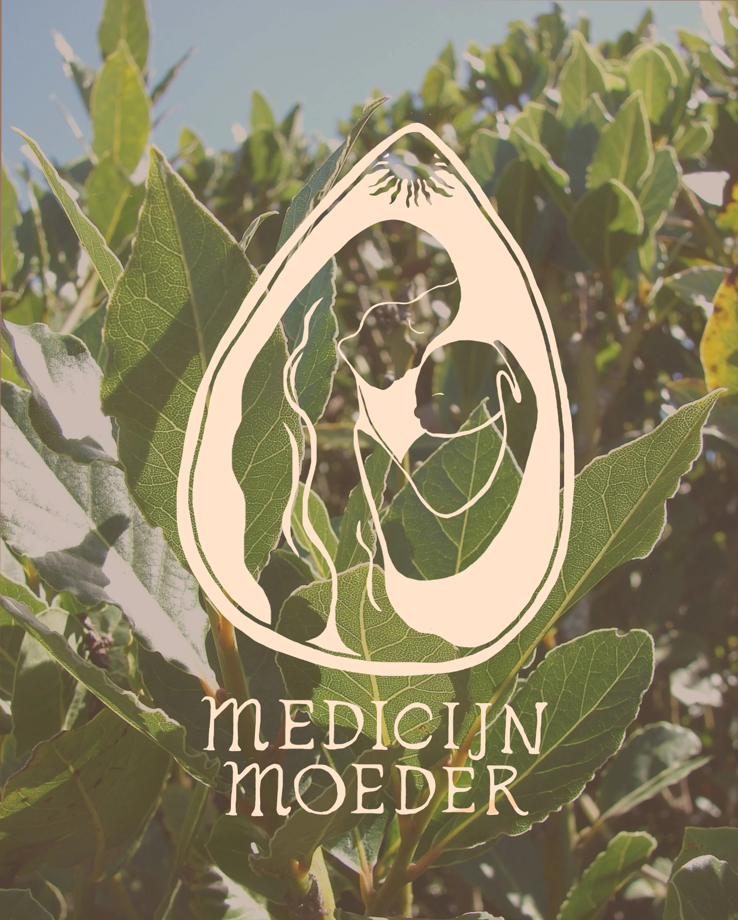 Close-up of green leaves on a plant with a graphic overlay of a stylized avocado heart shape. The words 'medicin' and 'moeder' are visible, suggesting 'medicine' and 'mother' in Dutch.
