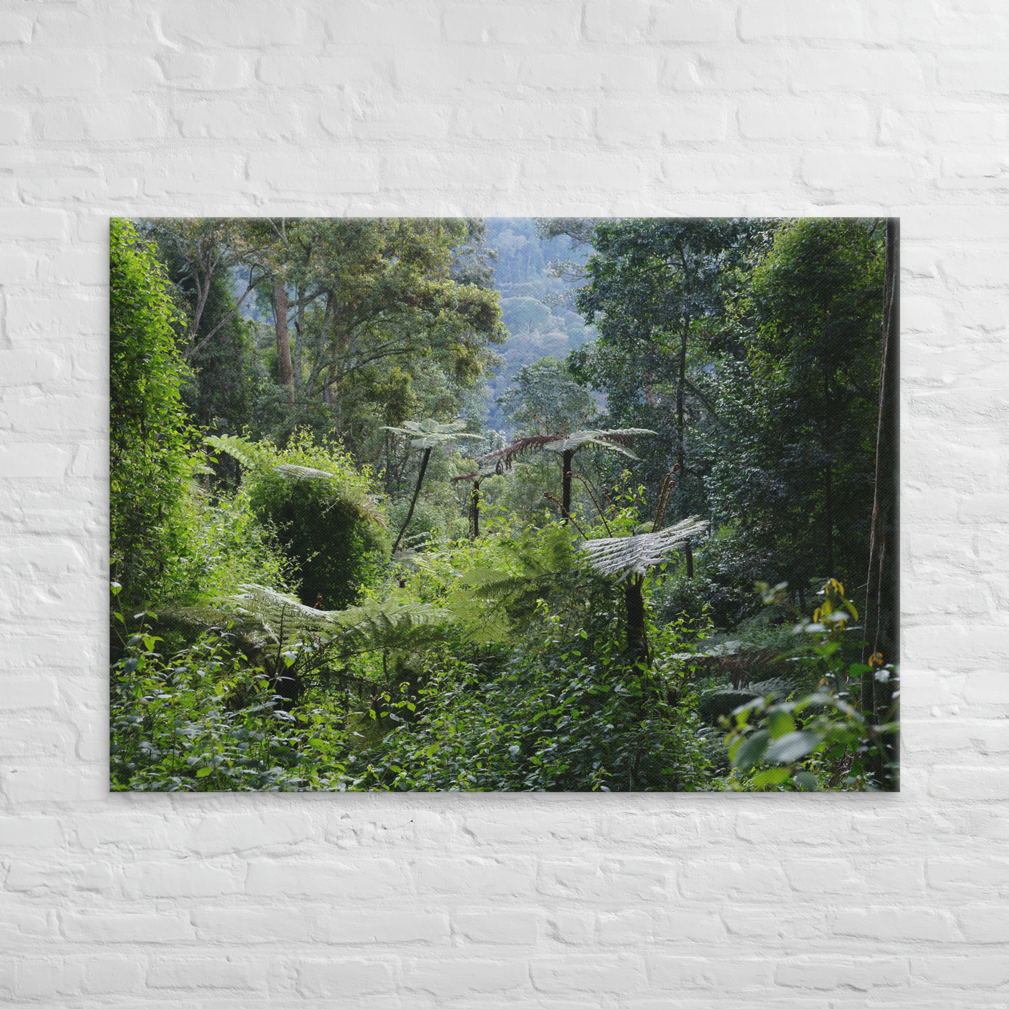 canvas-(in)-40x55-front-6a5e2440ee572.png