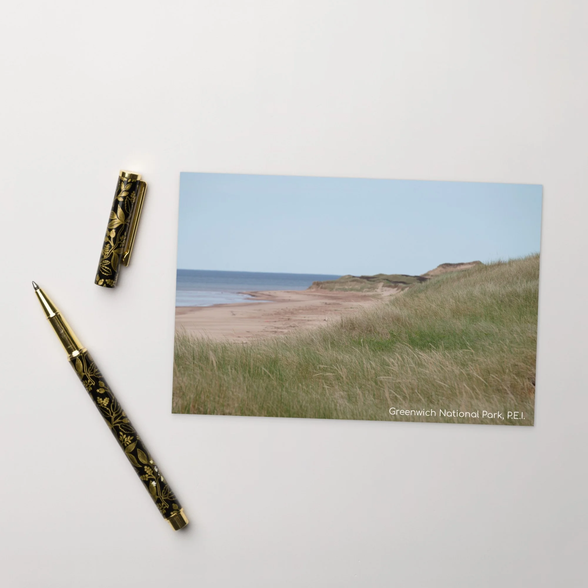 Studio Dune Isle PEI Postcard