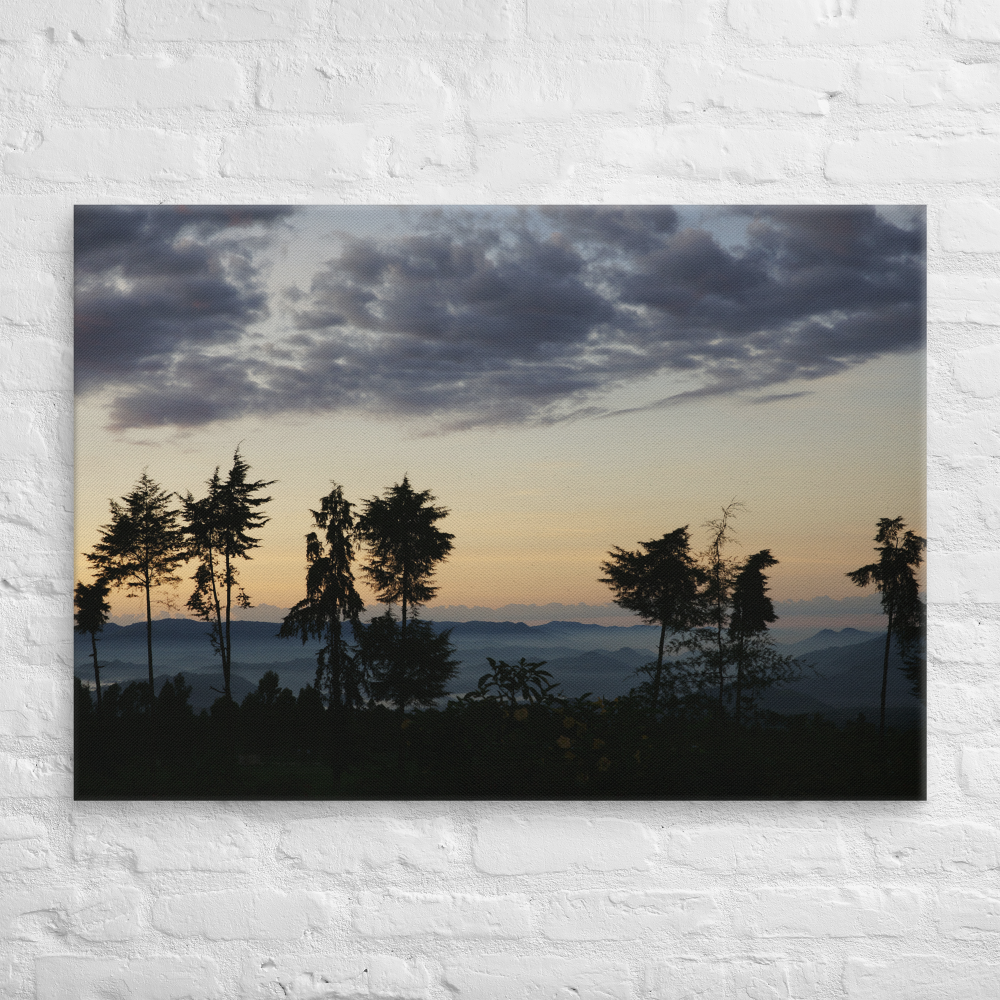 Canvas Print (SDI-004)