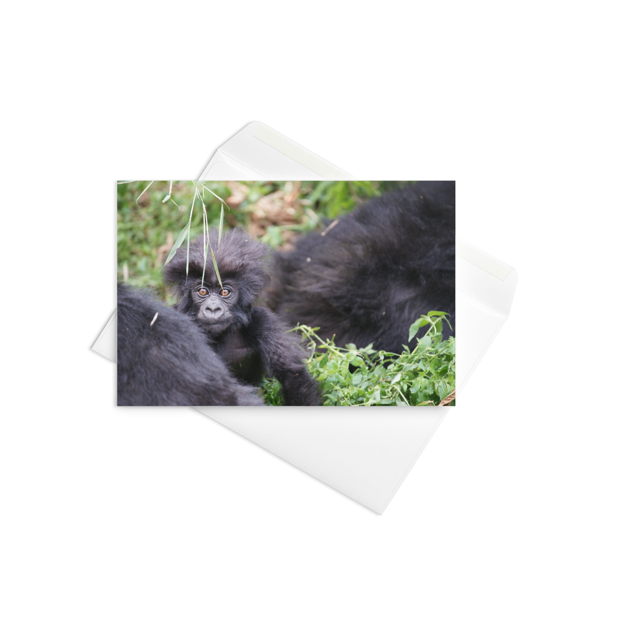 Statement Greeting Card (SDI-002)