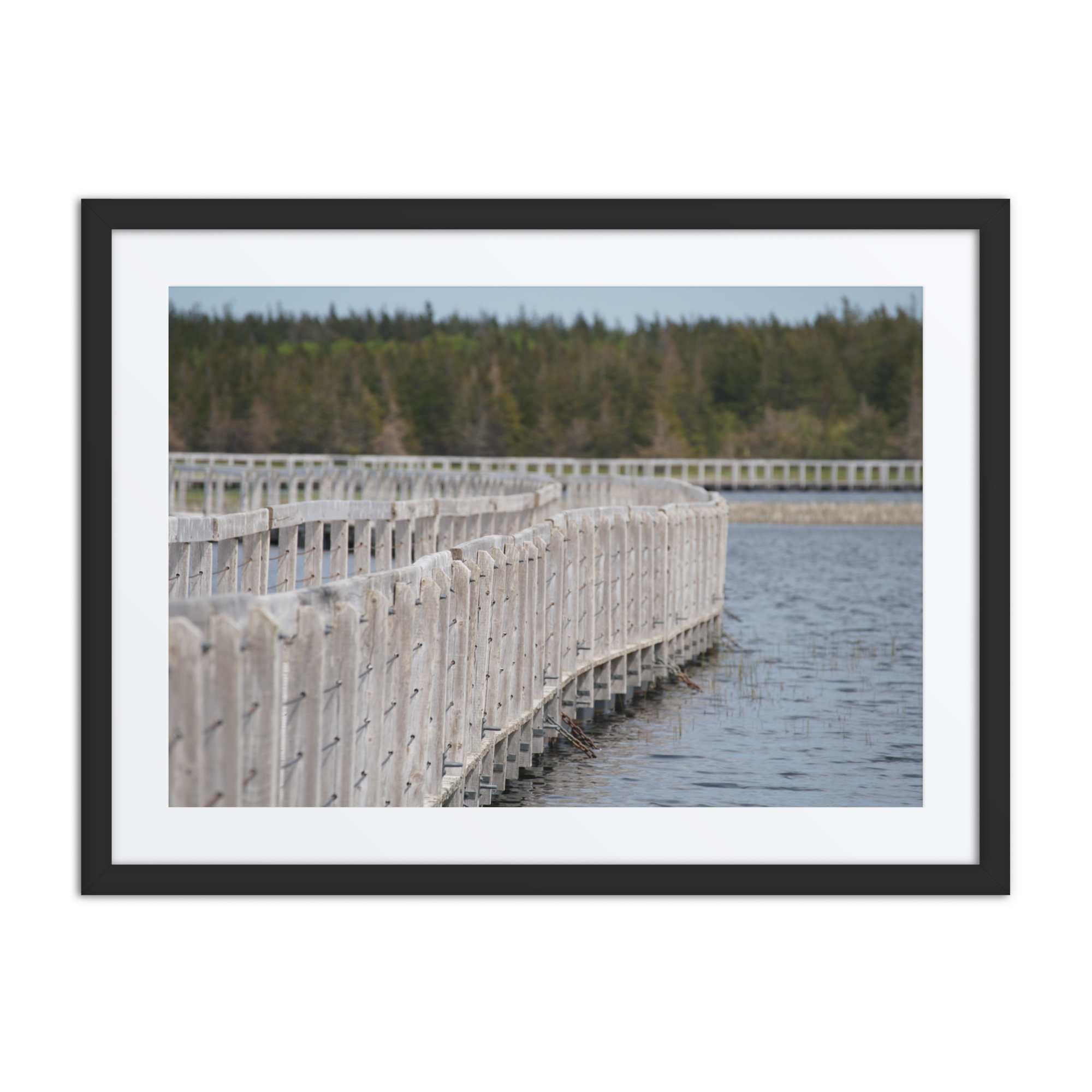 Gallery Framed Matte Print (SDI-644)