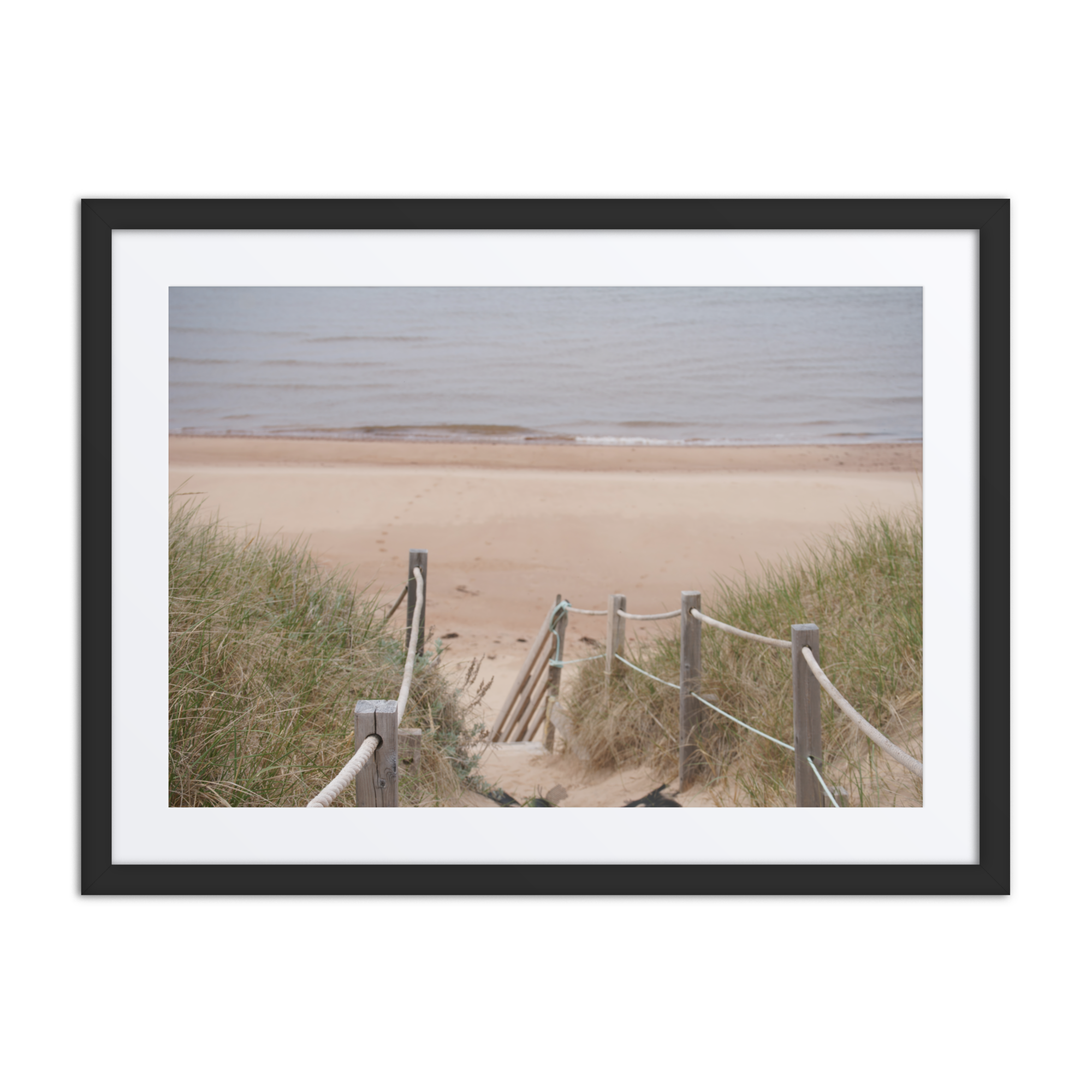 Gallery Framed Matte Print (SDI-473)