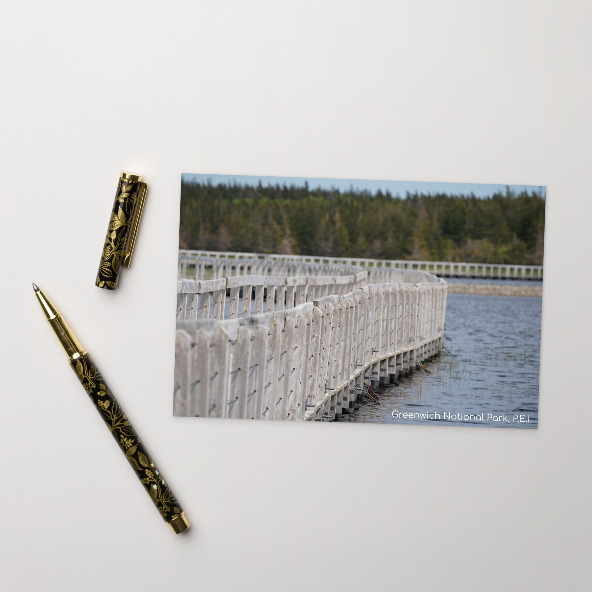 Statement Postcard (SDI-644)