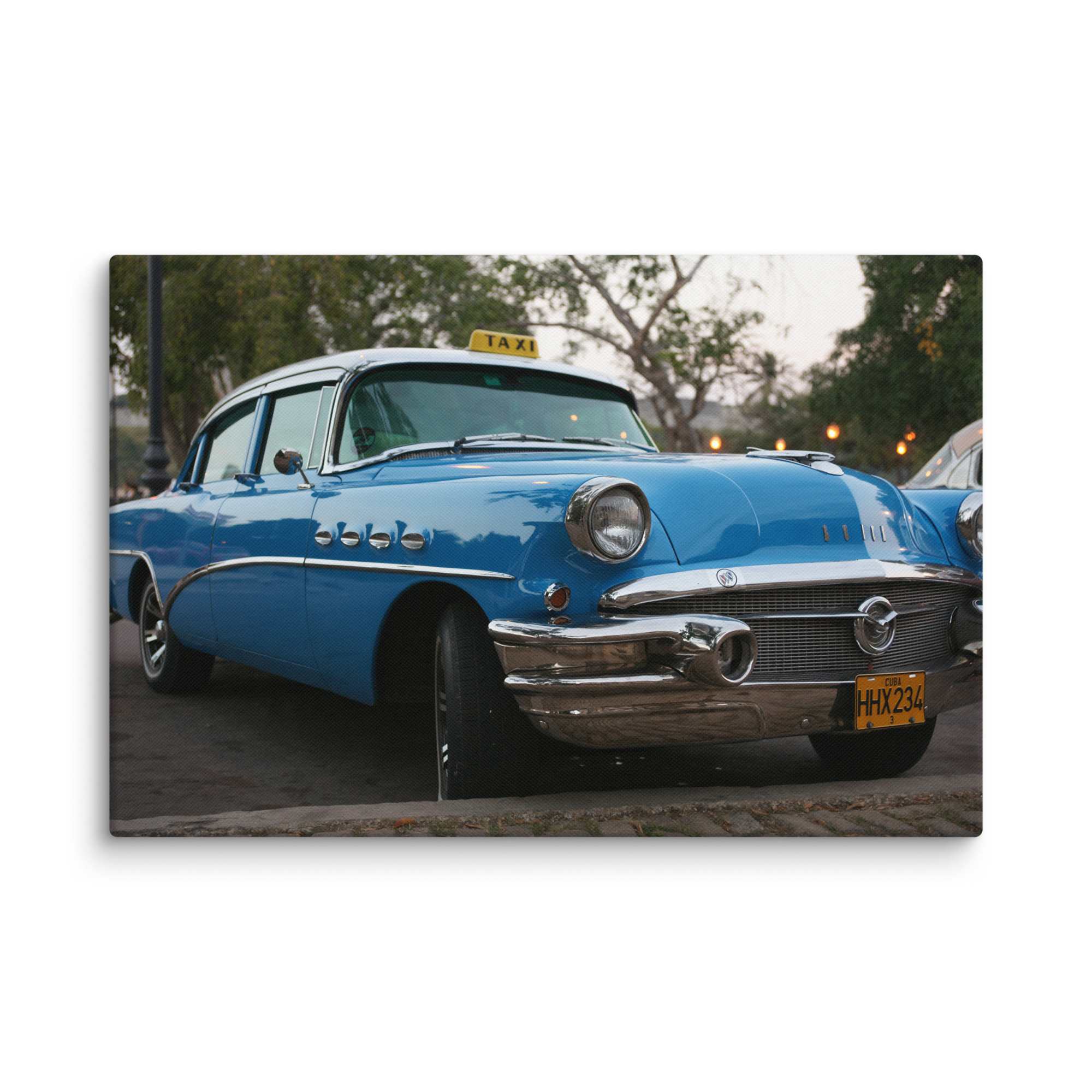 Stretched Canvas Print (SDI-005)
