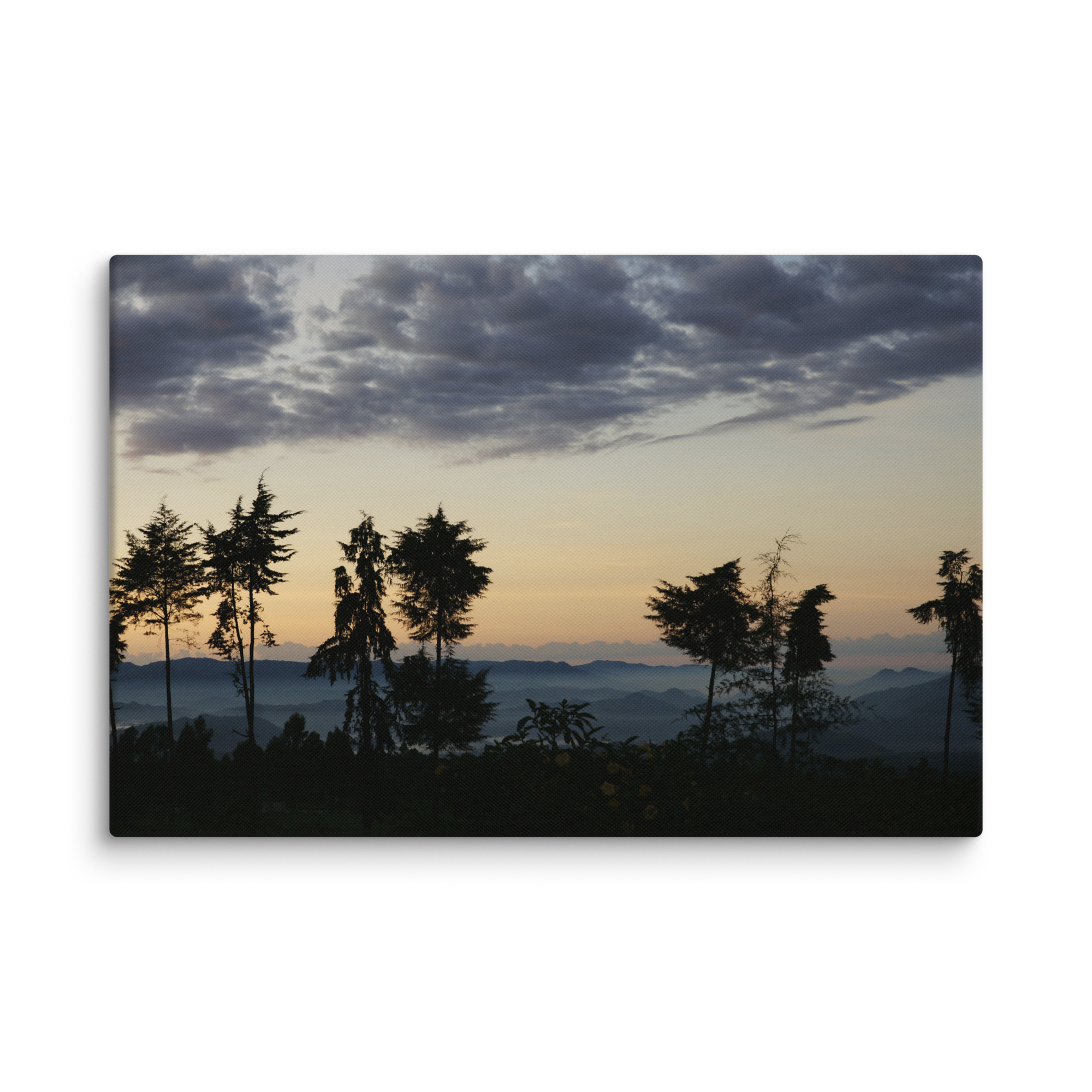 Stretched Canvas Print (SDI-004)