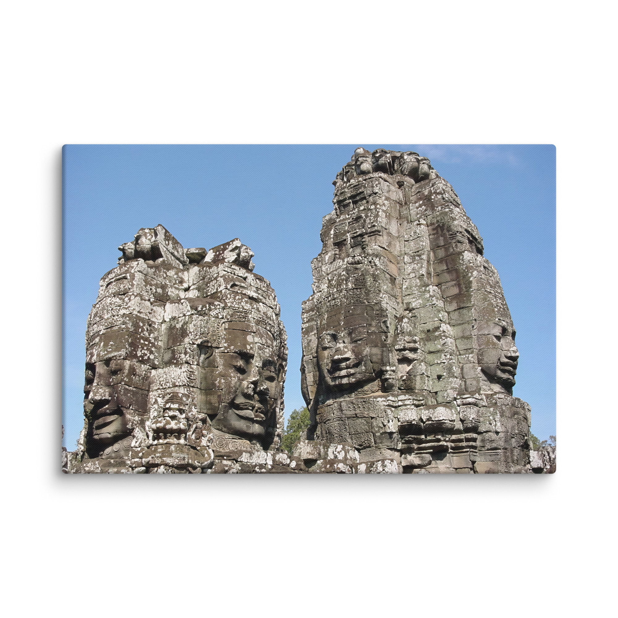 Stretched Canvas Print (SDI-006)