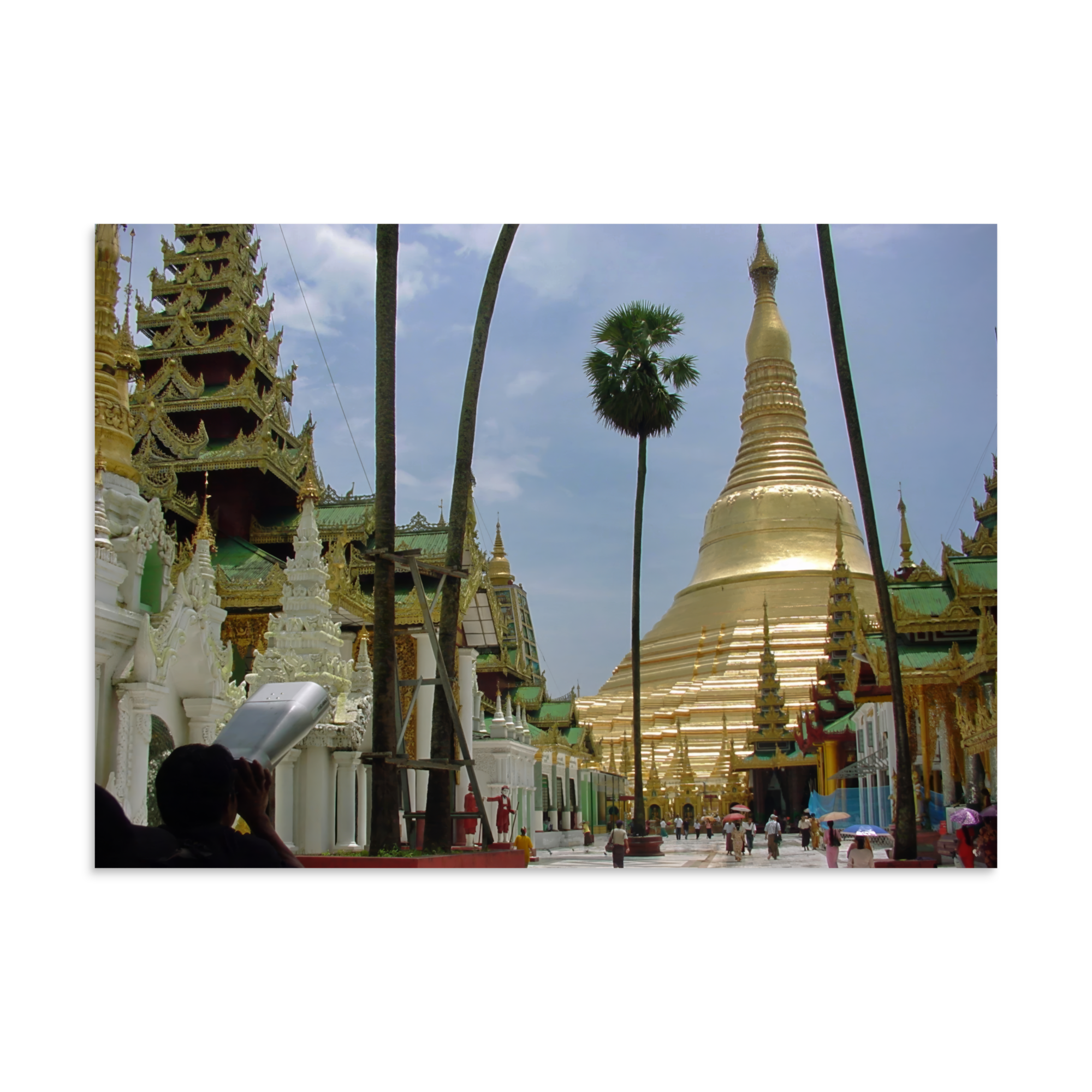 Photo Paper Print (SDI-659)