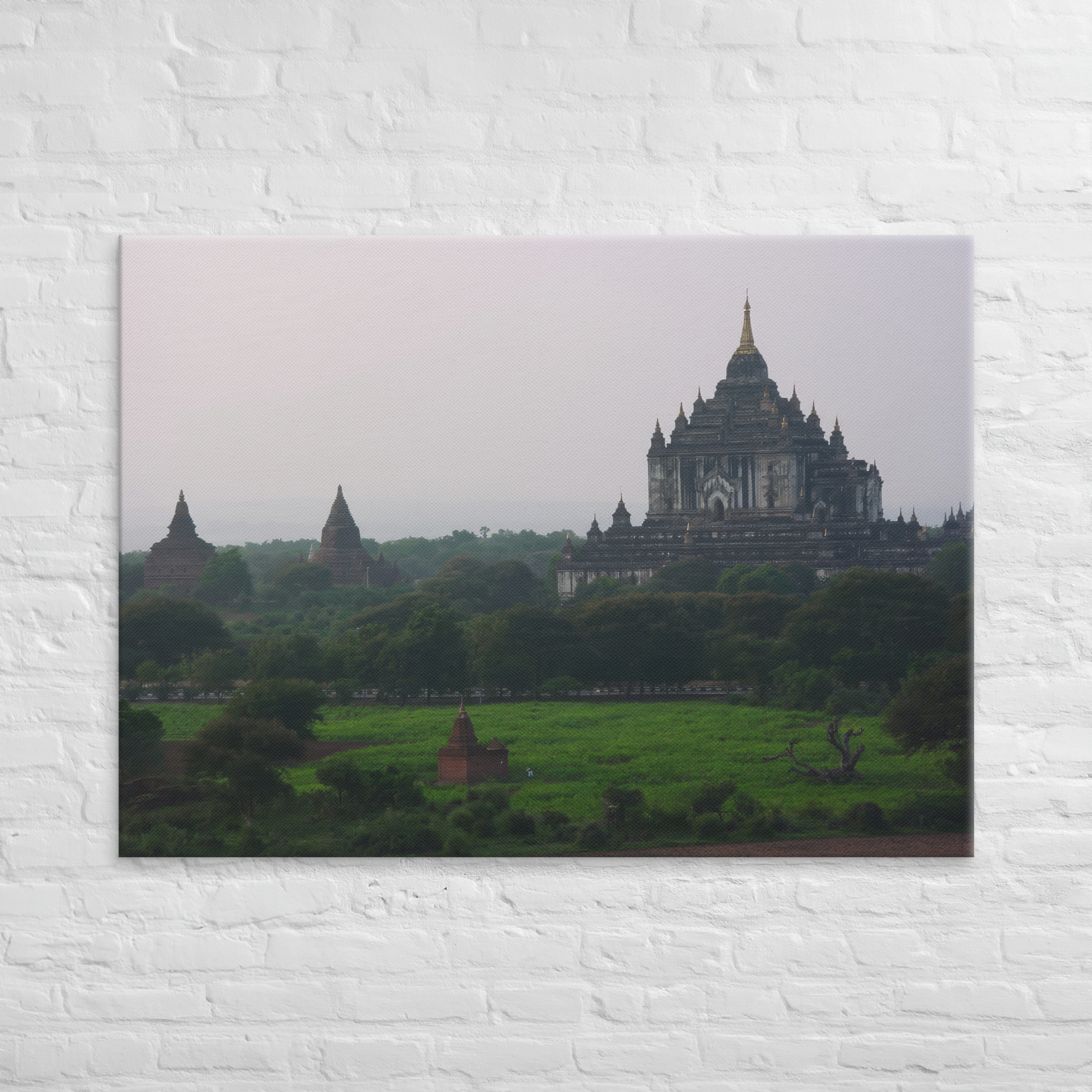 Stretched Canvas Print (SDI-362)