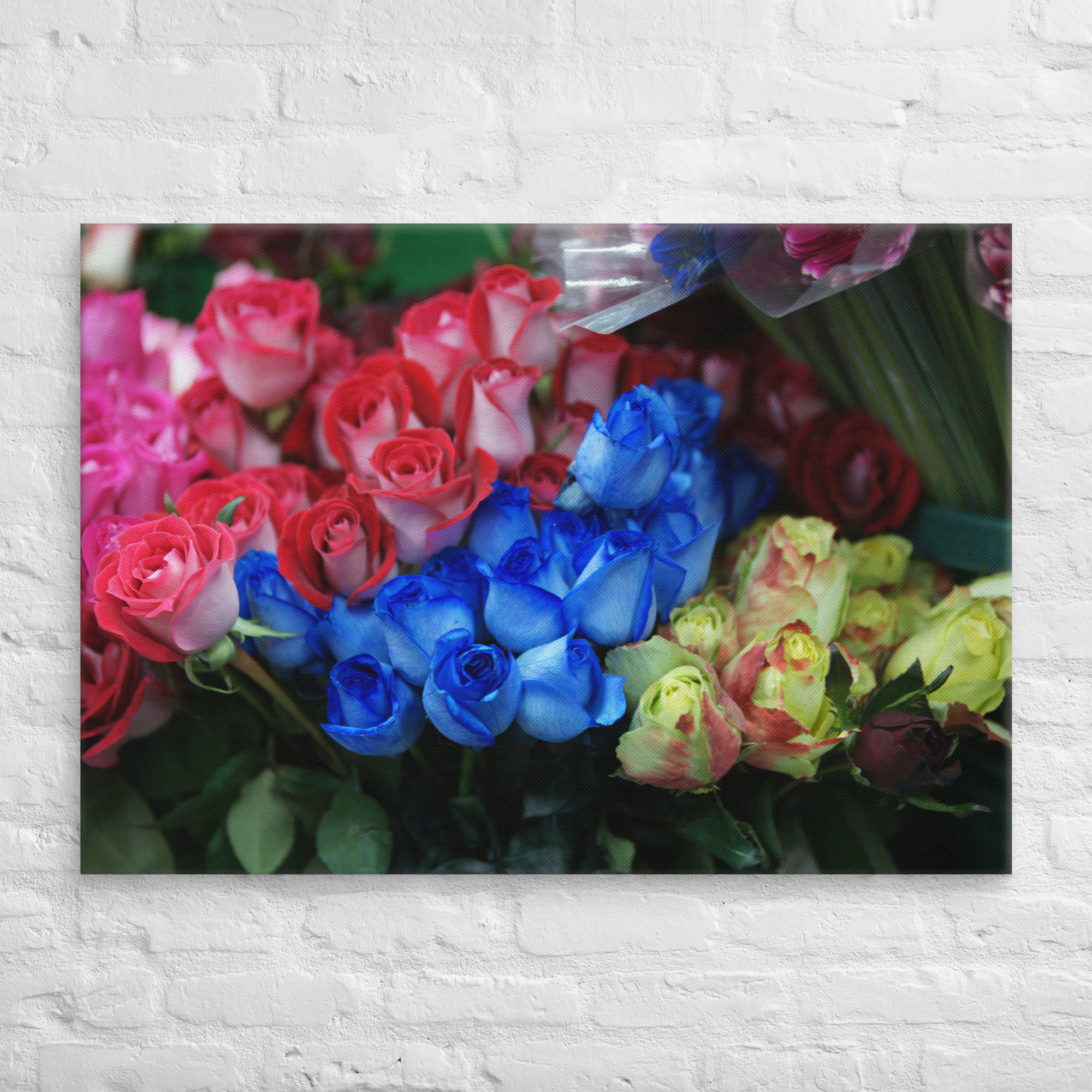 canvas-(in)-28x40-front-6a3ddaf43268f.png