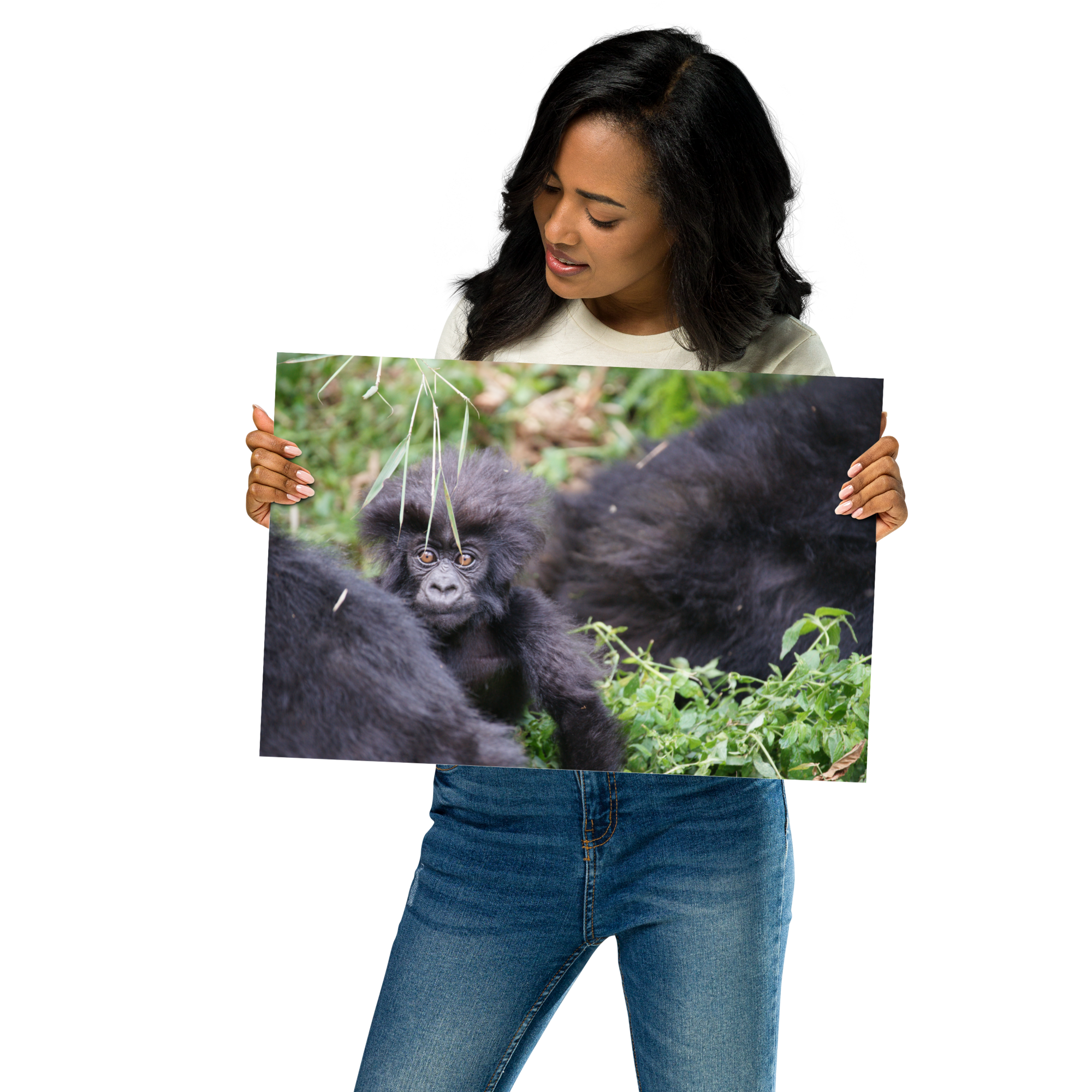 premium-luster-photo-paper-poster-(in)-12x18-front-6a2d7a5486d23.png