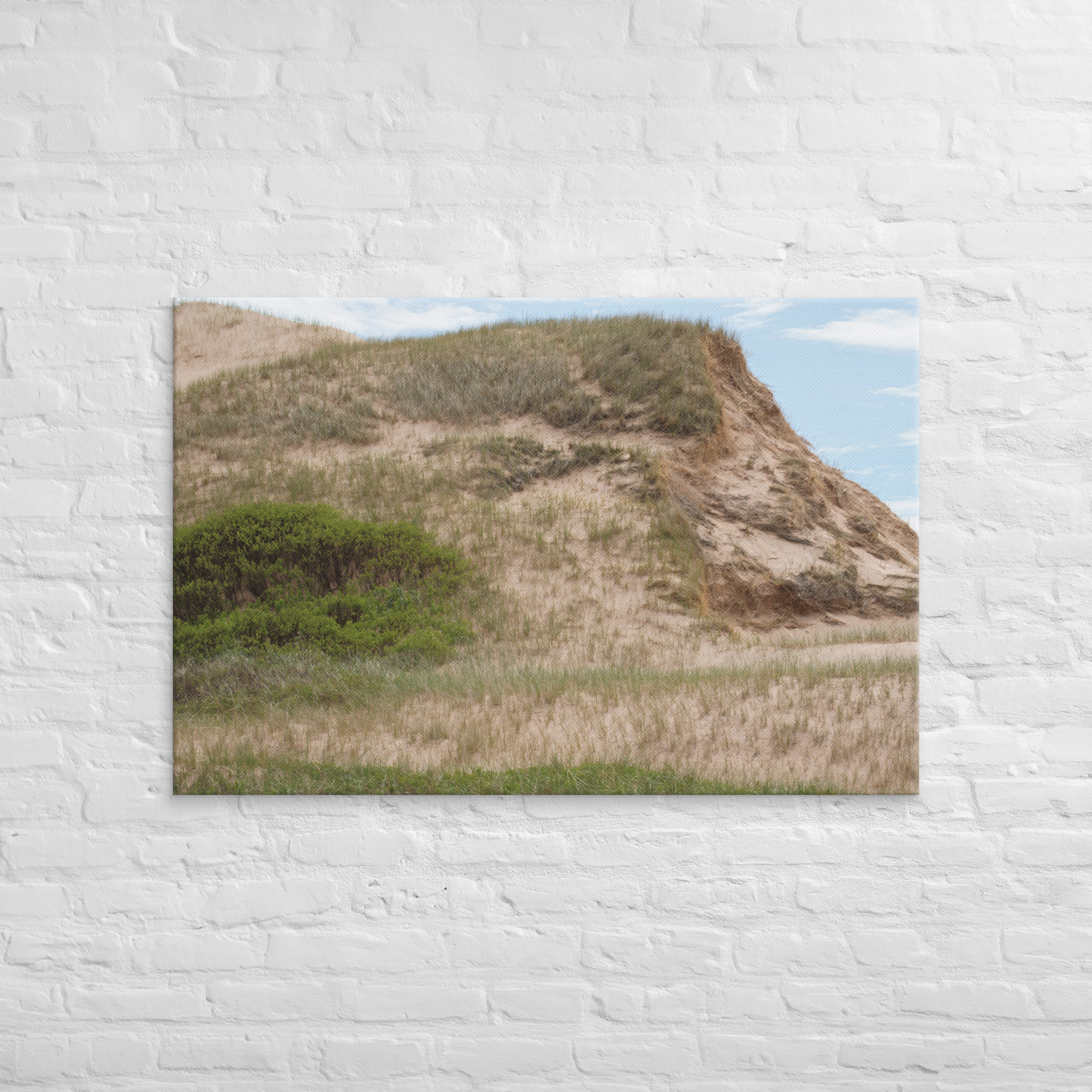 canvas-(in)-32x48-front-6a4ad22b6341c.png