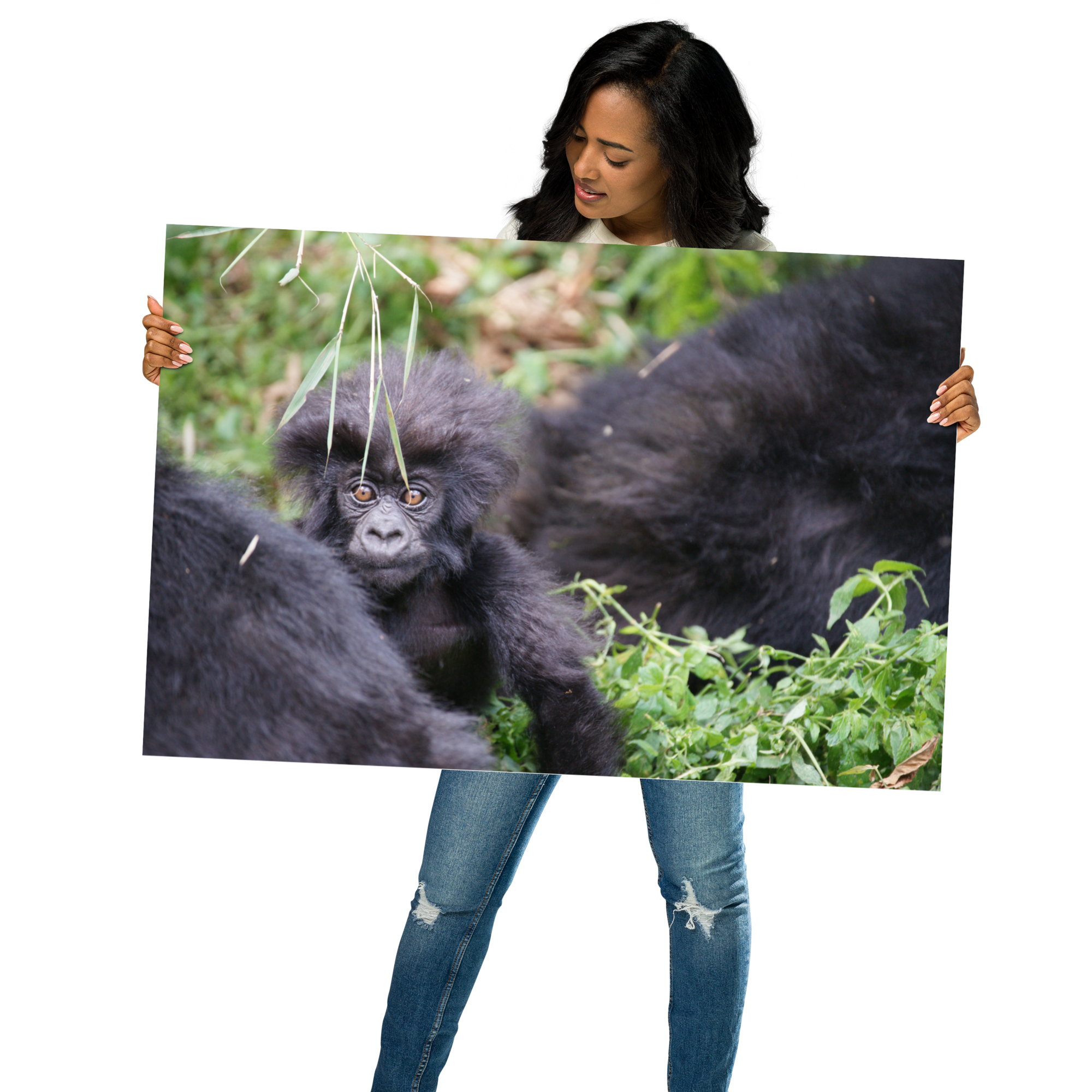 Premium Photo Poster (SDI-002)