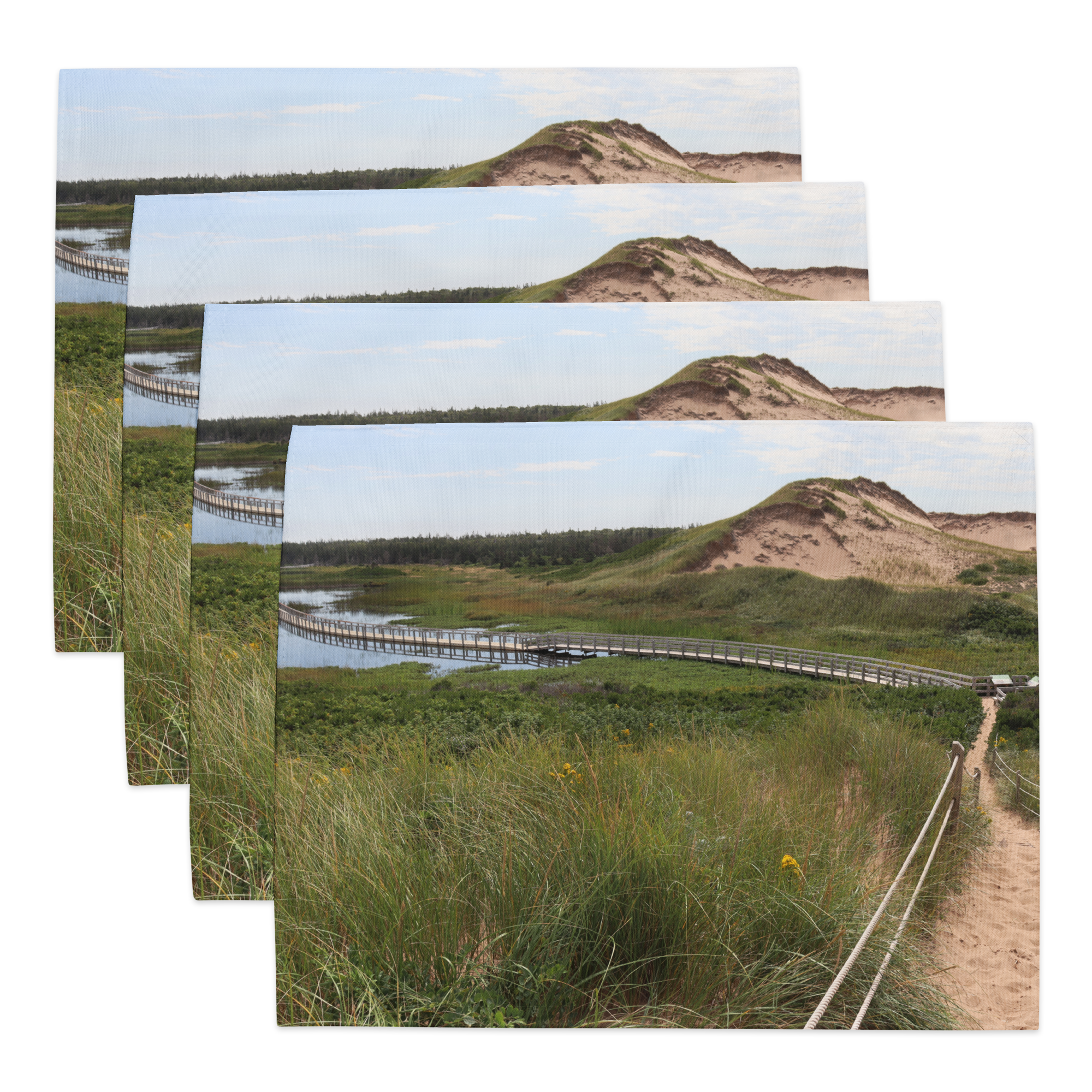 placemat-set-(4)-white-front-6a3d89d43ee92.png