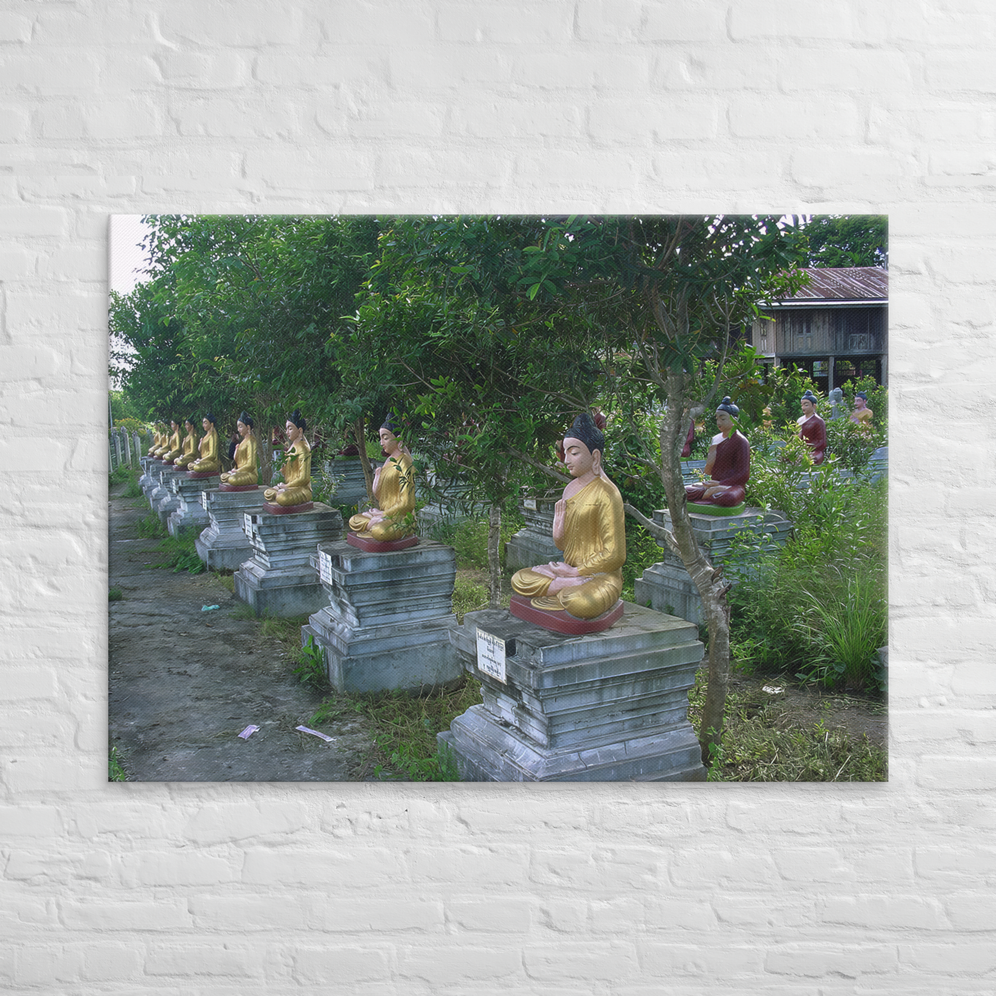 Stretched Canvas Print (SDI-217)