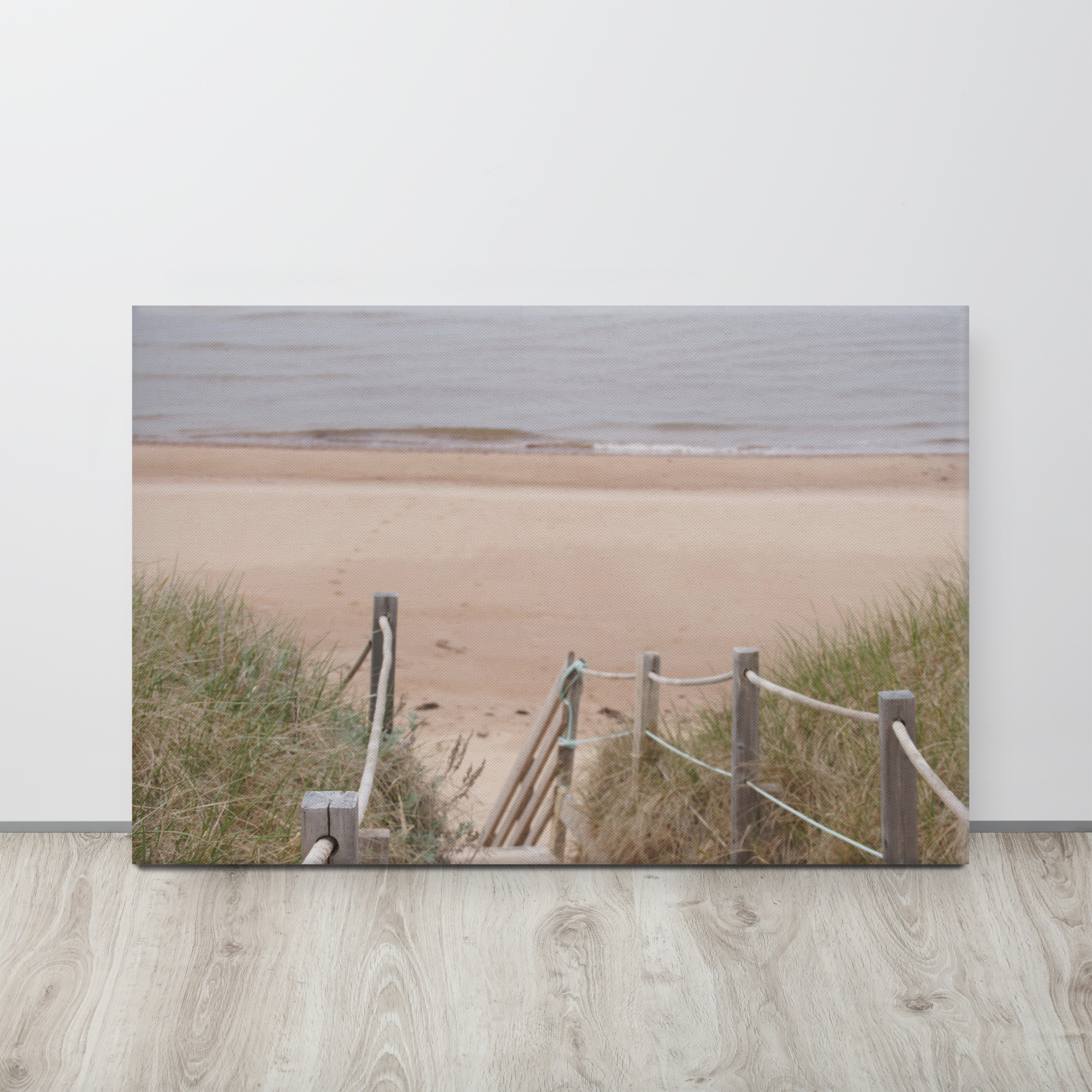 canvas-(in)-24x36-front-6a4ec4b6631ff.png