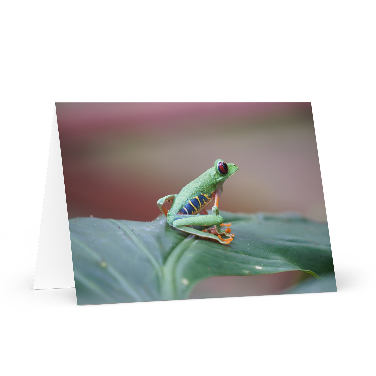 Studio Dune Isle Greeting Card