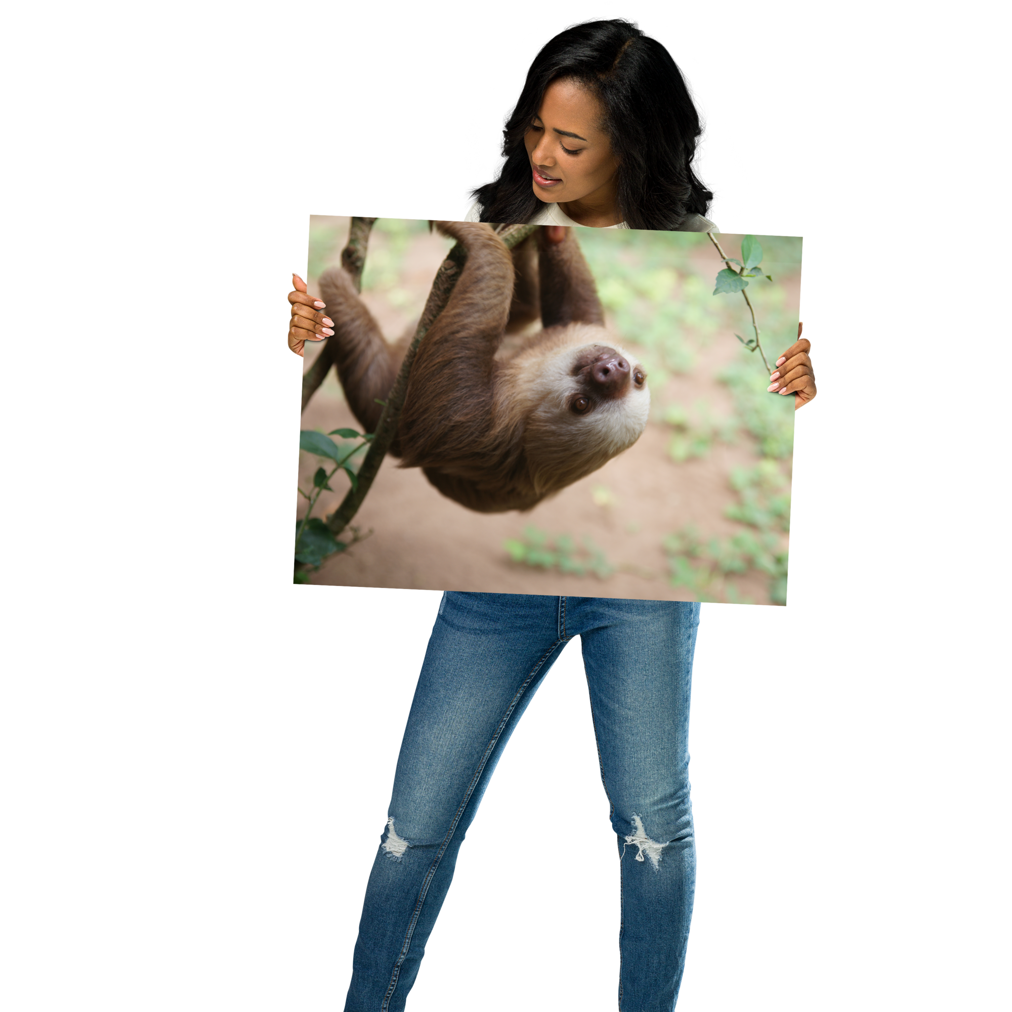 Photo Paper Poster (SDI-067)