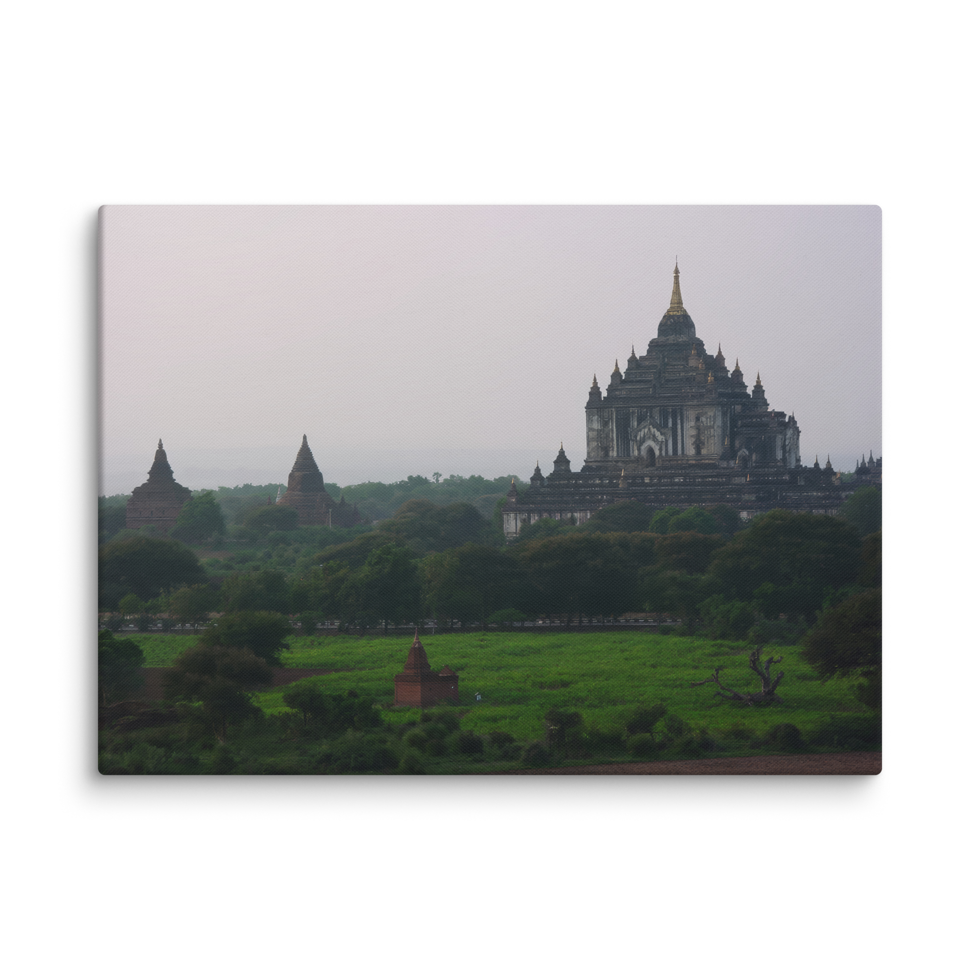 canvas-(in)-40x55-wall-6a5929d8d5466.png