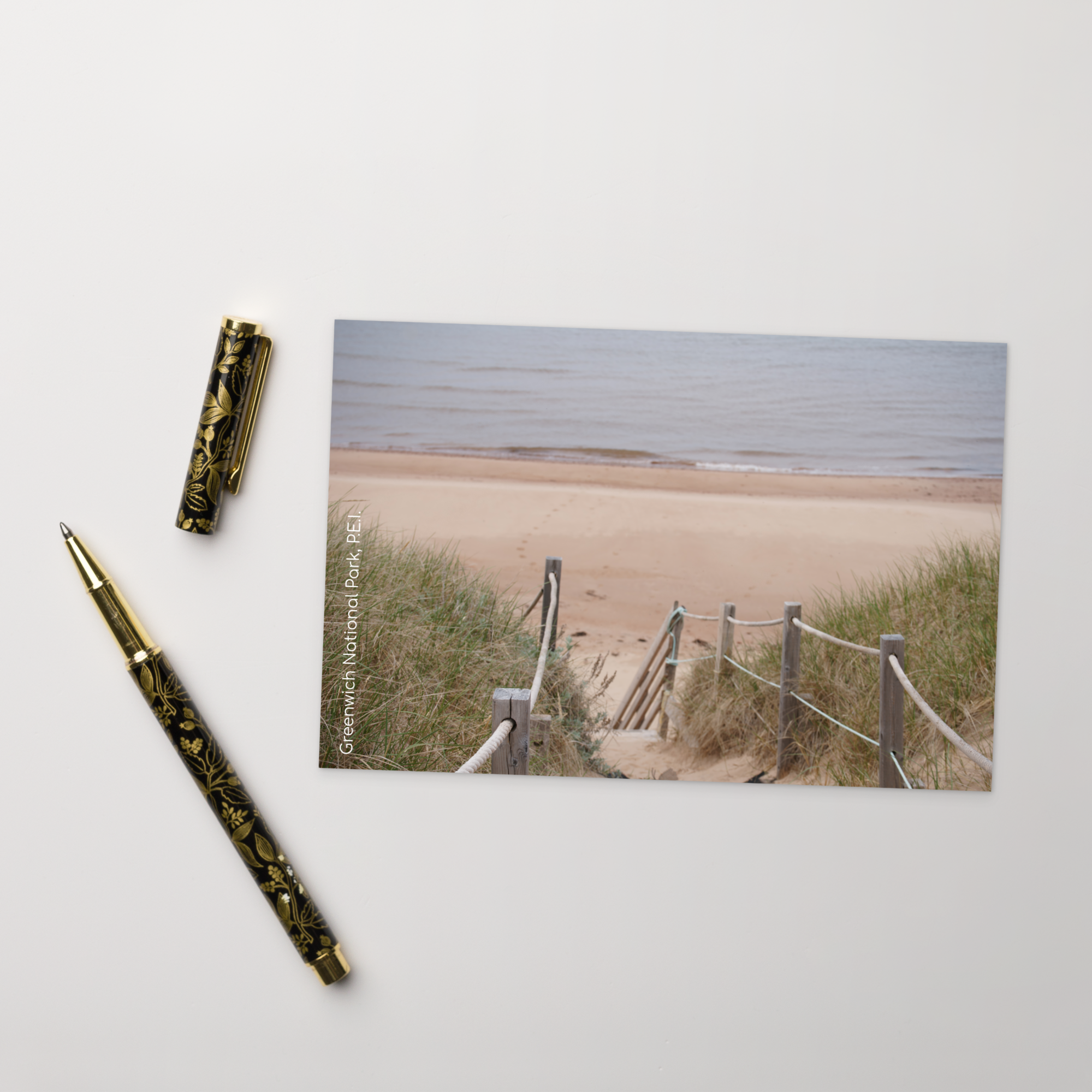 Statement  Postcard (SDI-473)