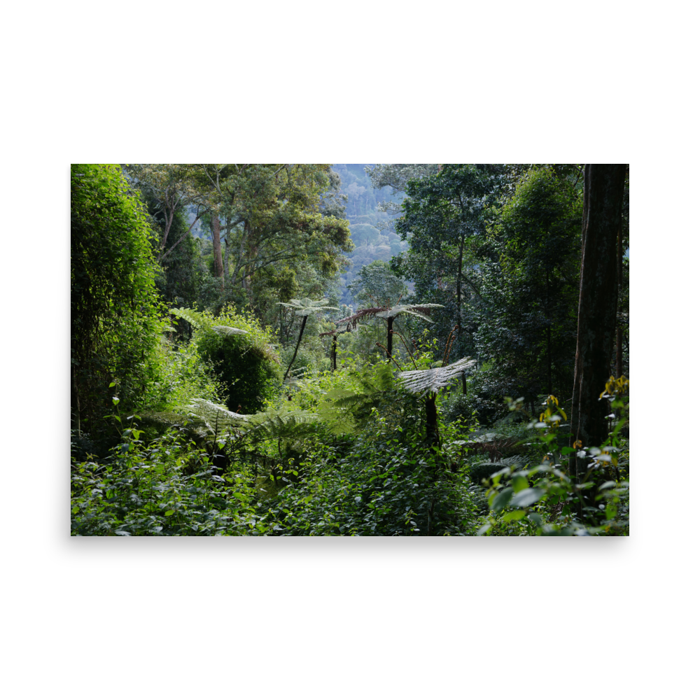 enhanced-matte-paper-poster-(in)-24x36-front-6a5e23afd3688.png