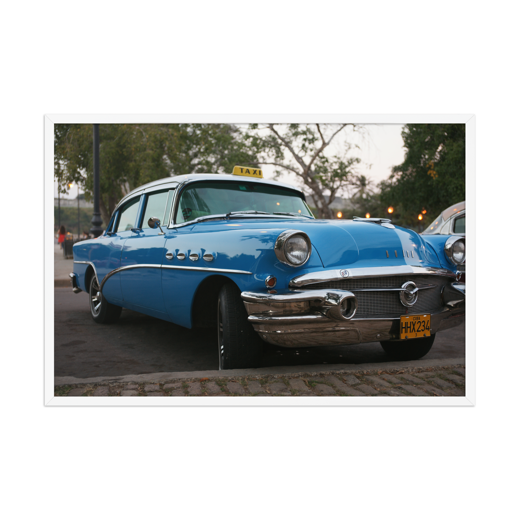 premium-luster-photo-paper-framed-poster-(in)-white-24x36-front-6a594e9a67644.png