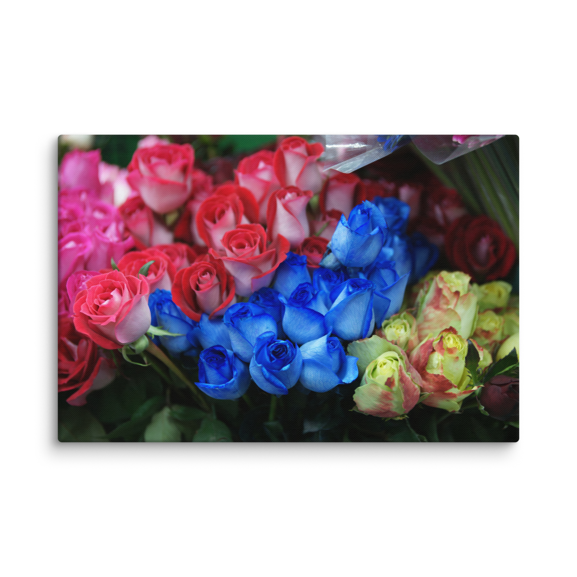 canvas-(in)-24x36-wall-6a62544344e19.png