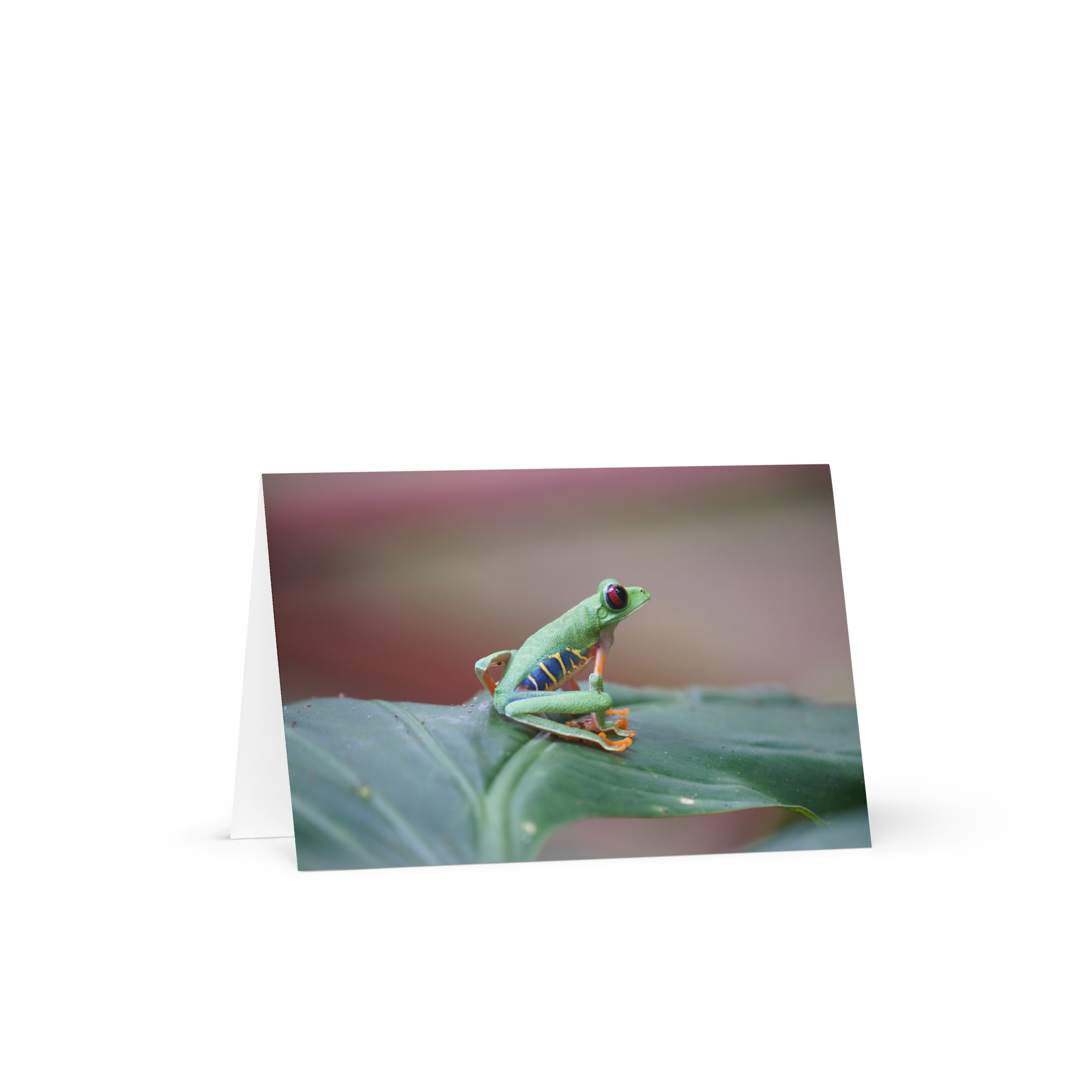 greeting-card-4x6-front-6a301f2523f8c.png