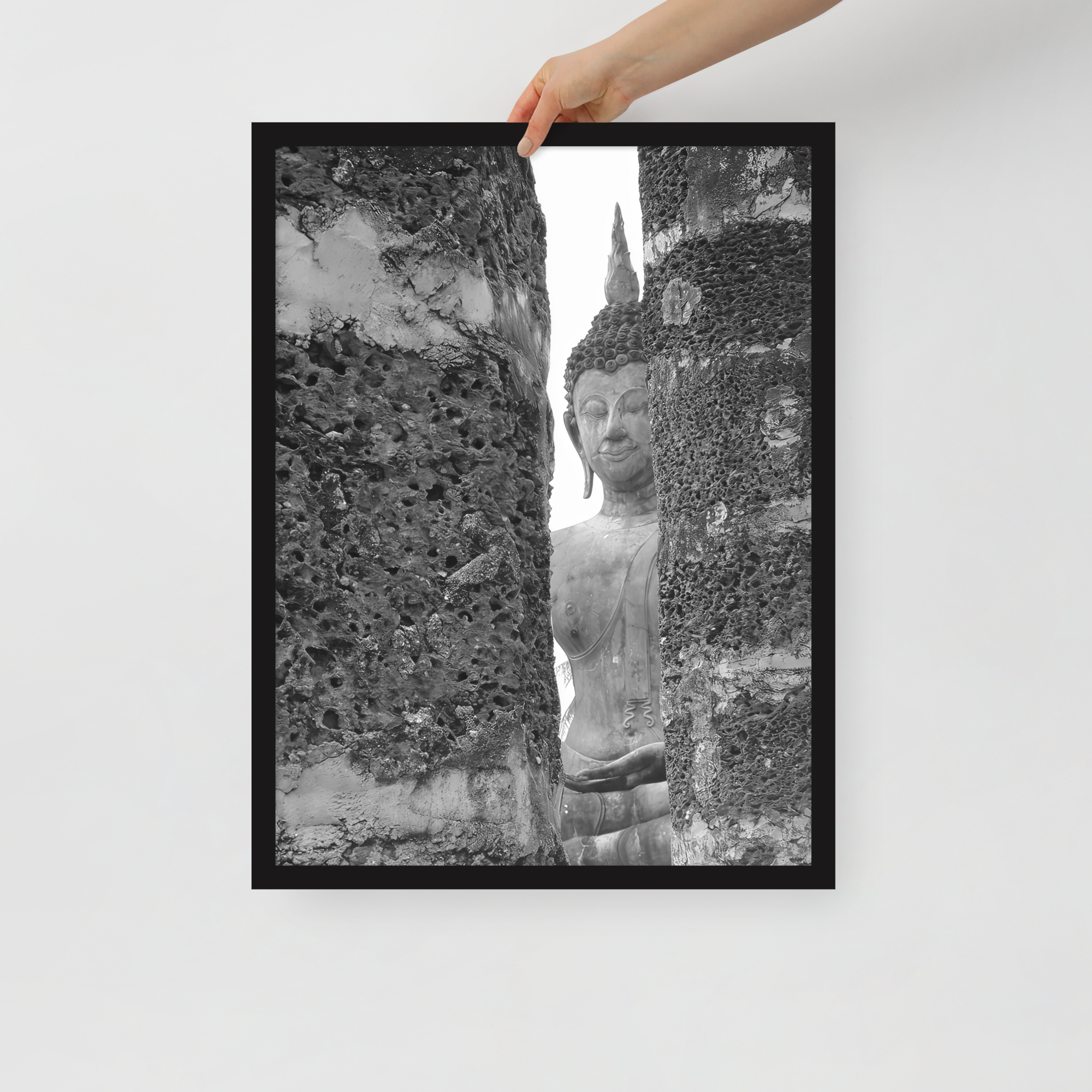 Framed Matte Print (SDI-294)