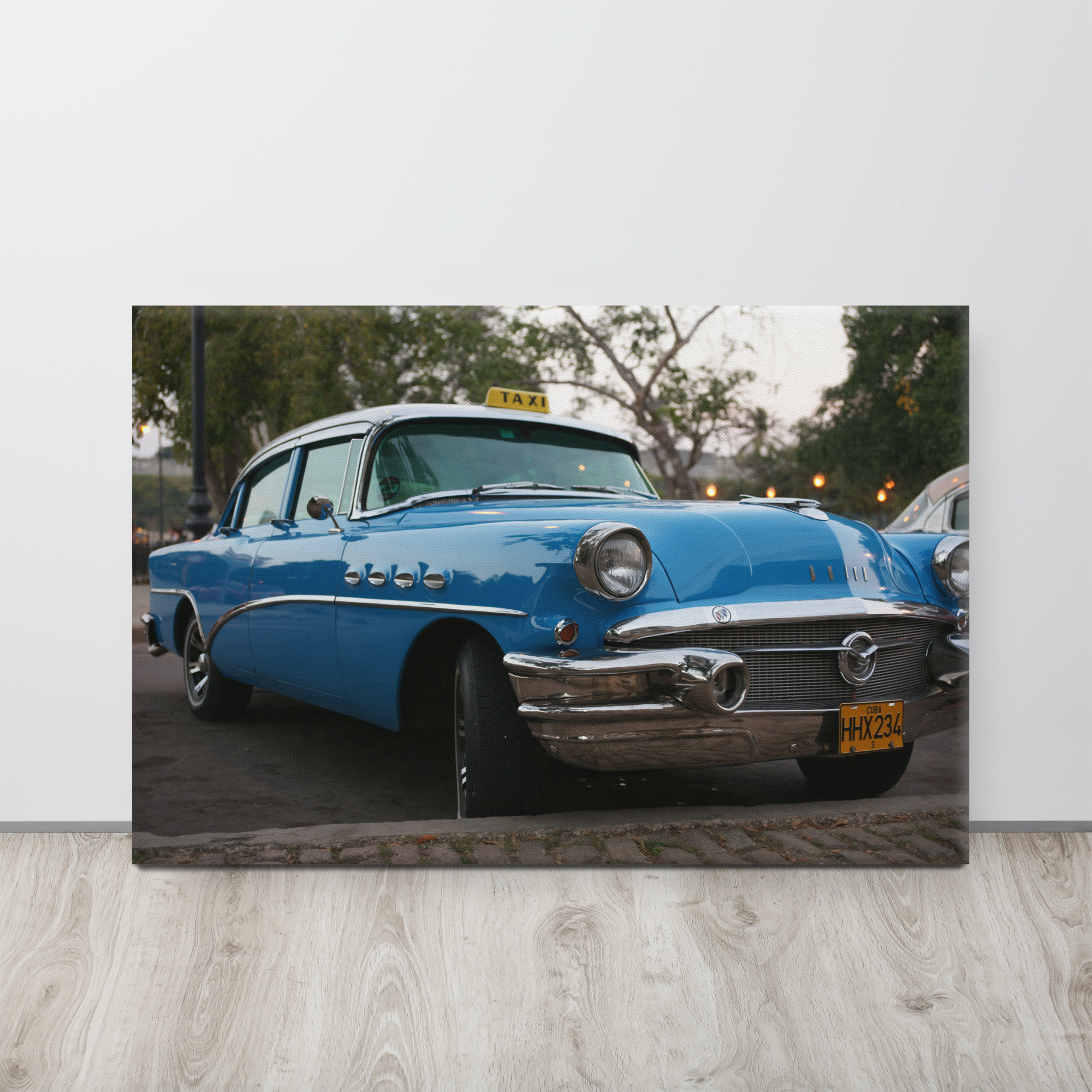 Stretched Canvas Print (SDI-005)