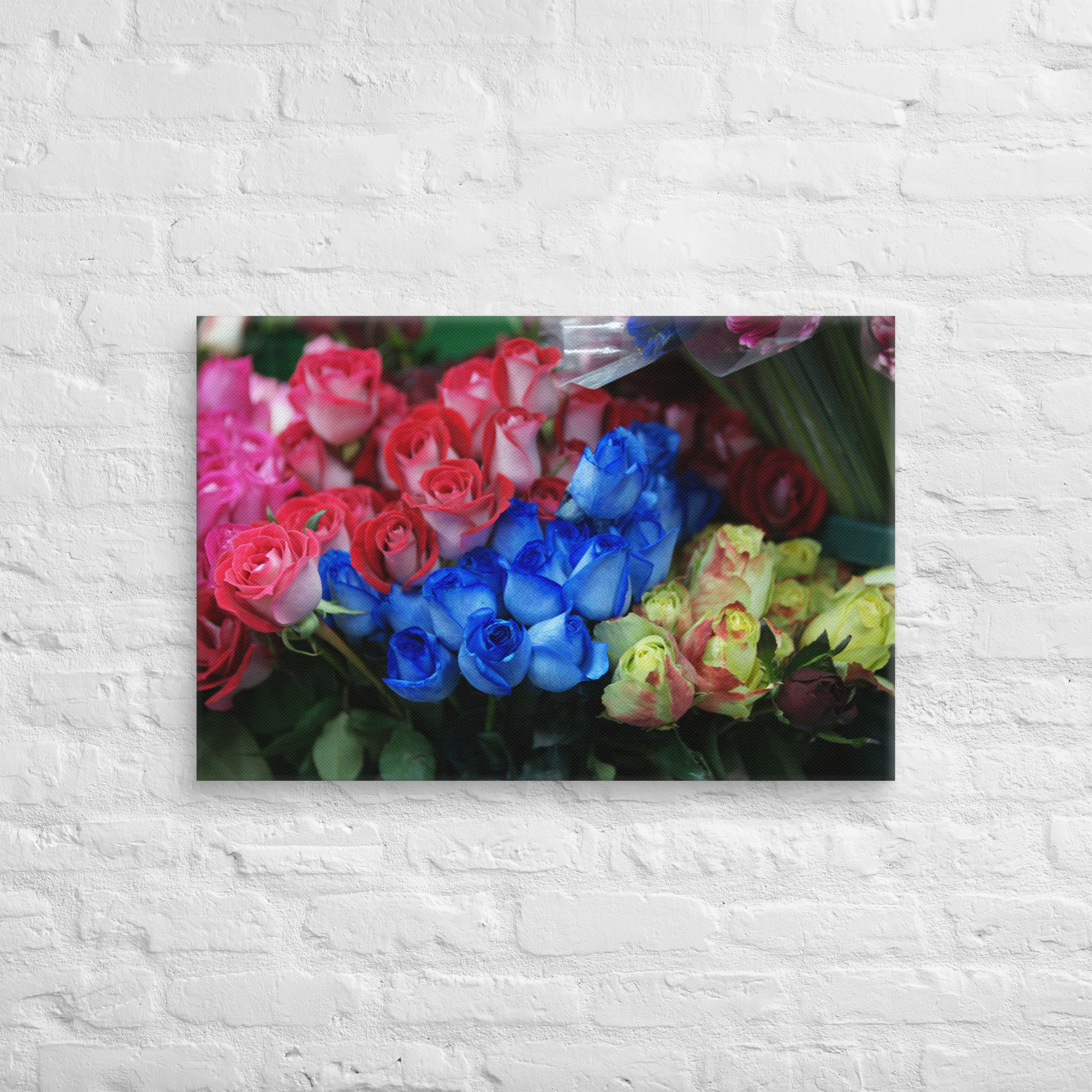 canvas-(in)-20x30-front-6a3ddaf43248d.png